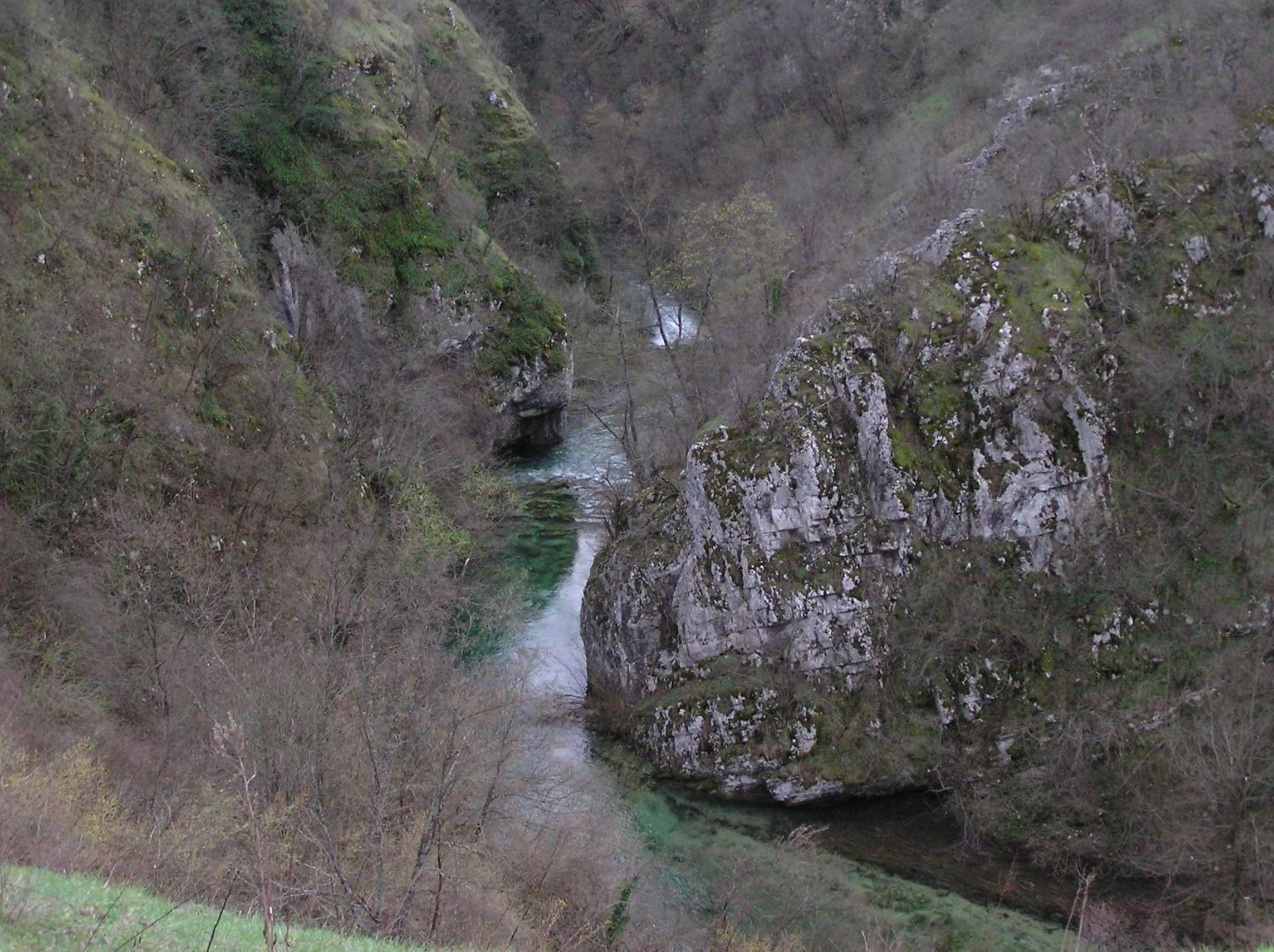Photo 29