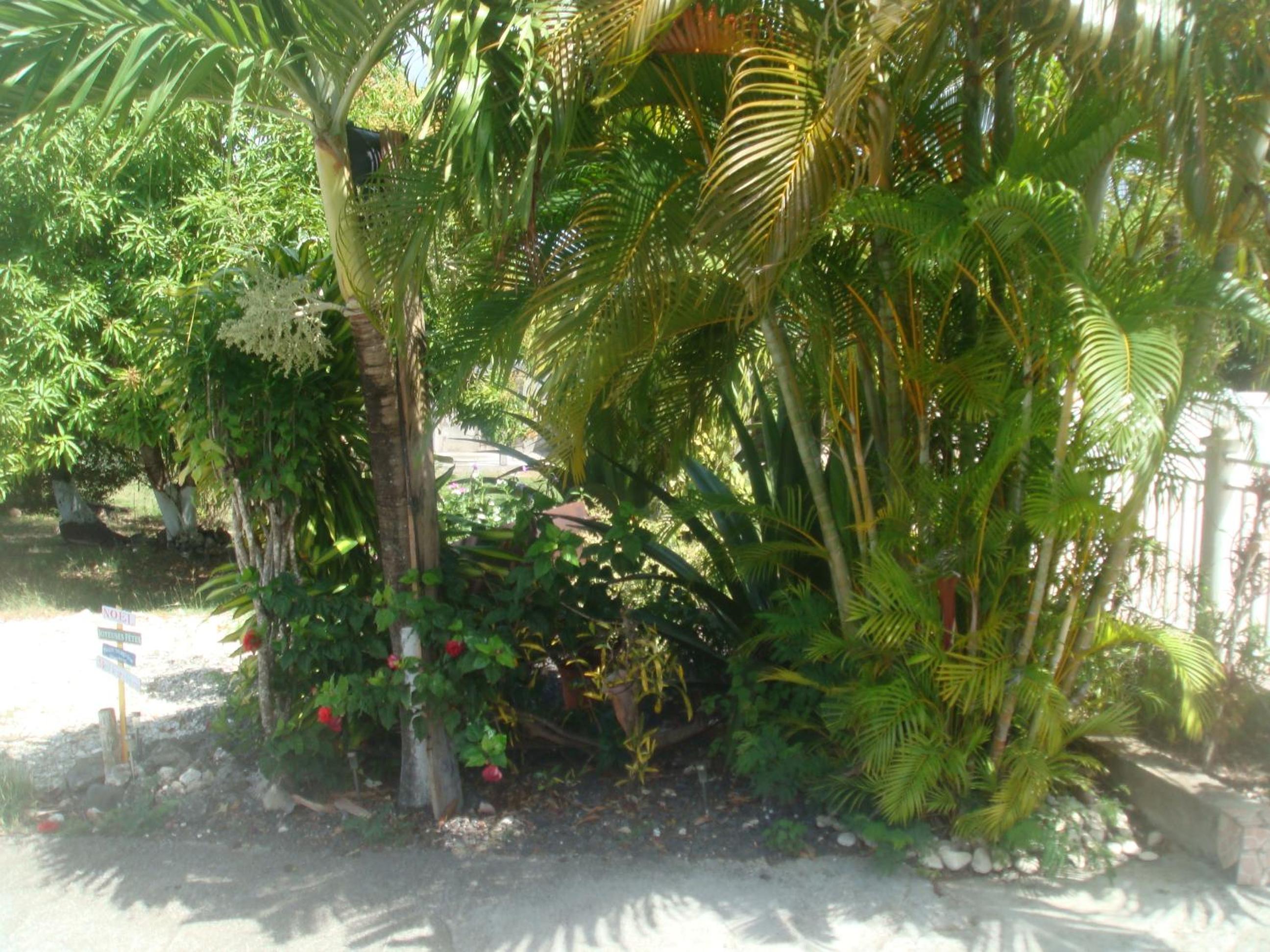 Photo 20