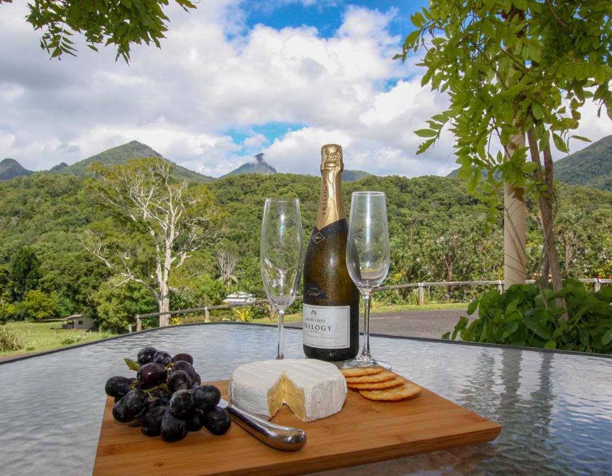 A view of Mount Warning