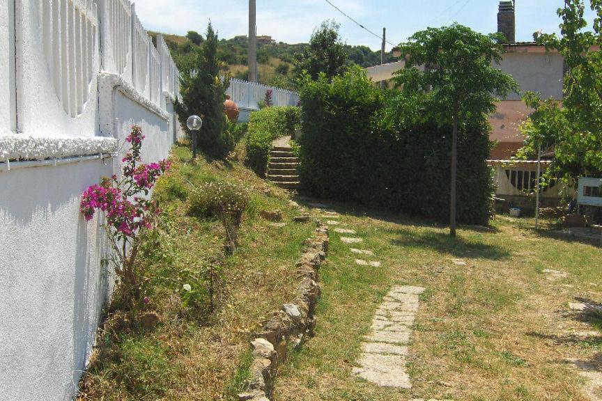 Photo 41