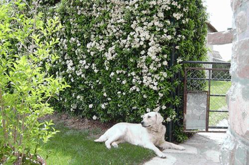 Photo 71