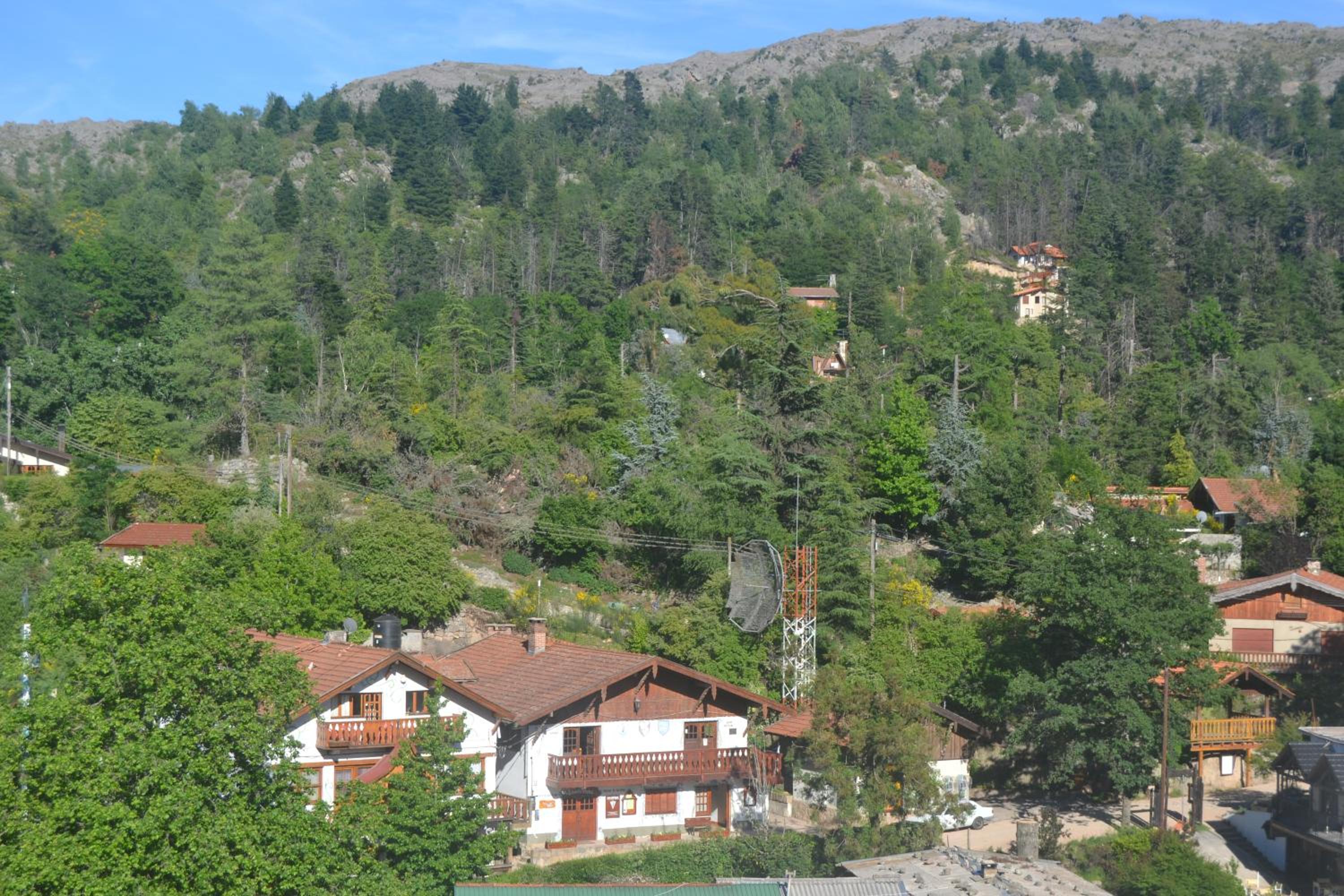 Hosteria El Ceibo