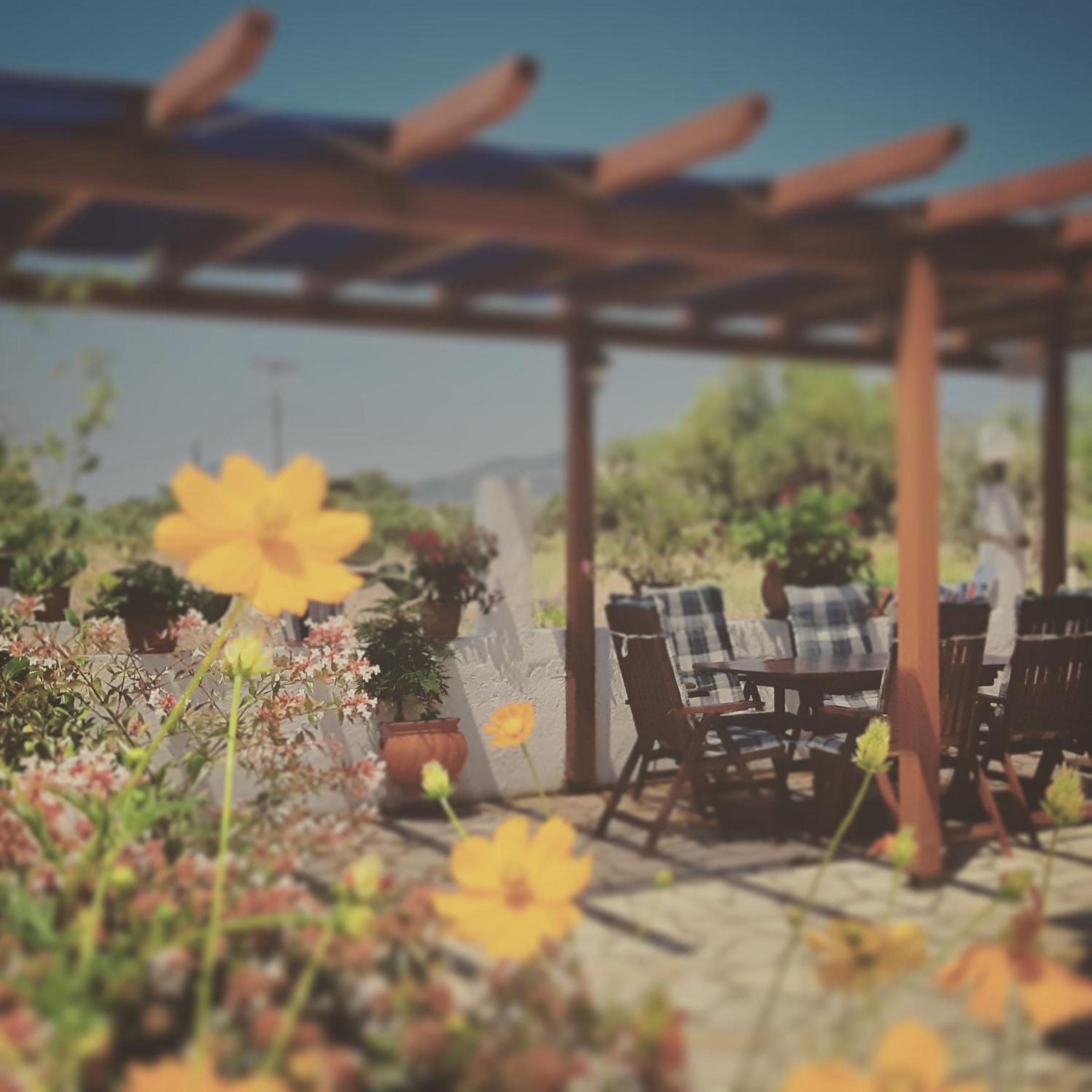 Voula Accommodation