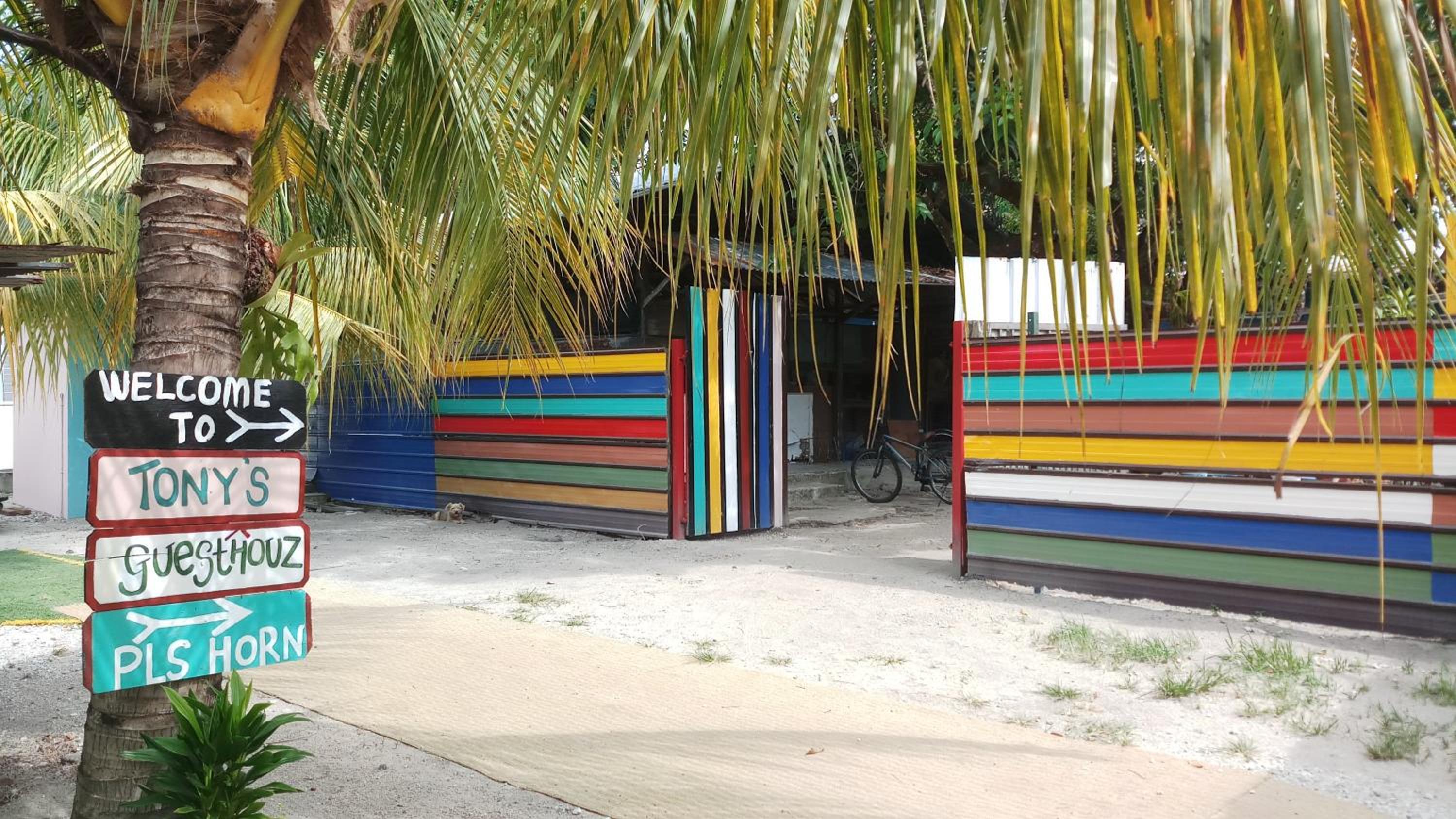 Photo 41