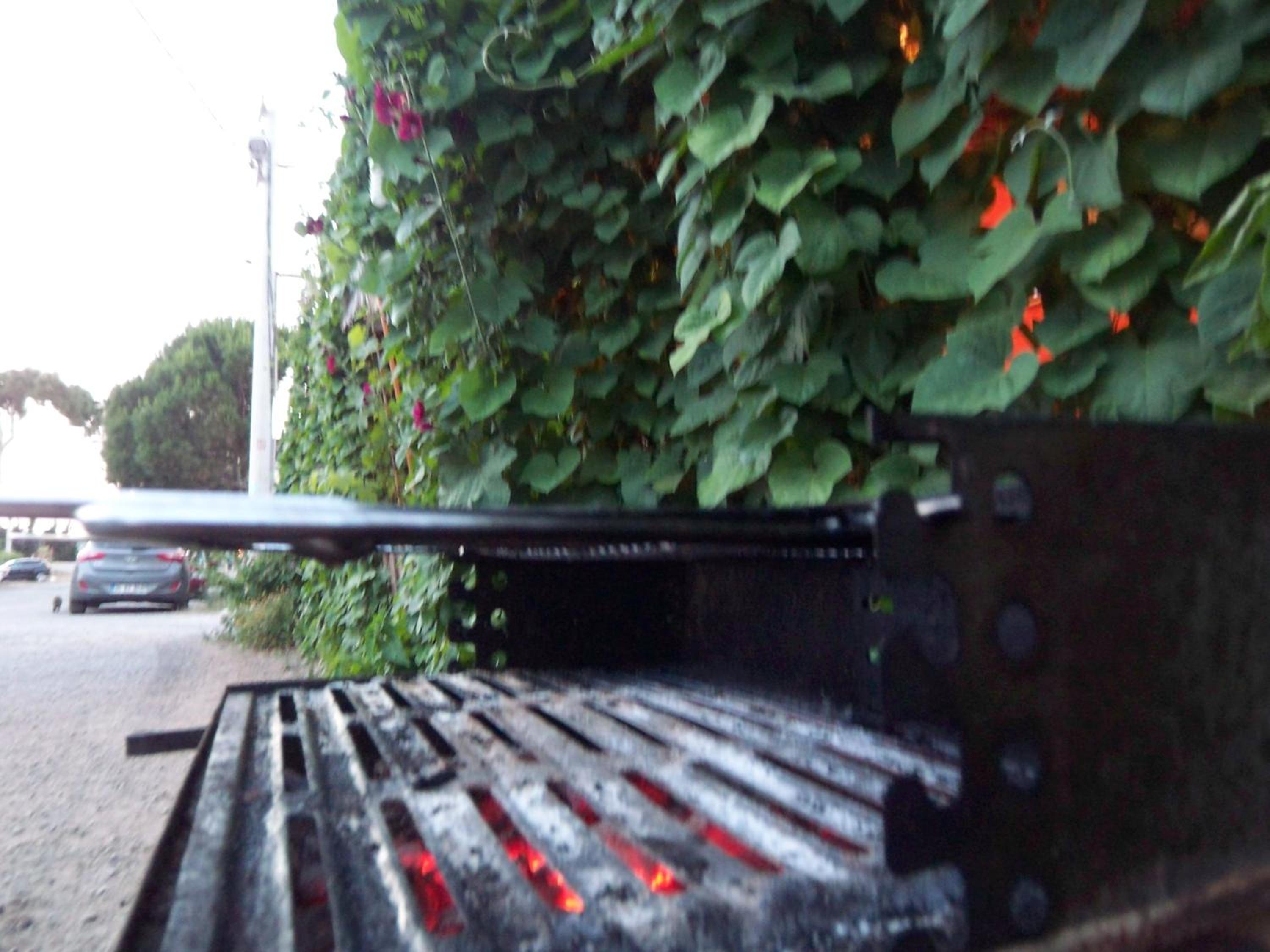 Photo 28