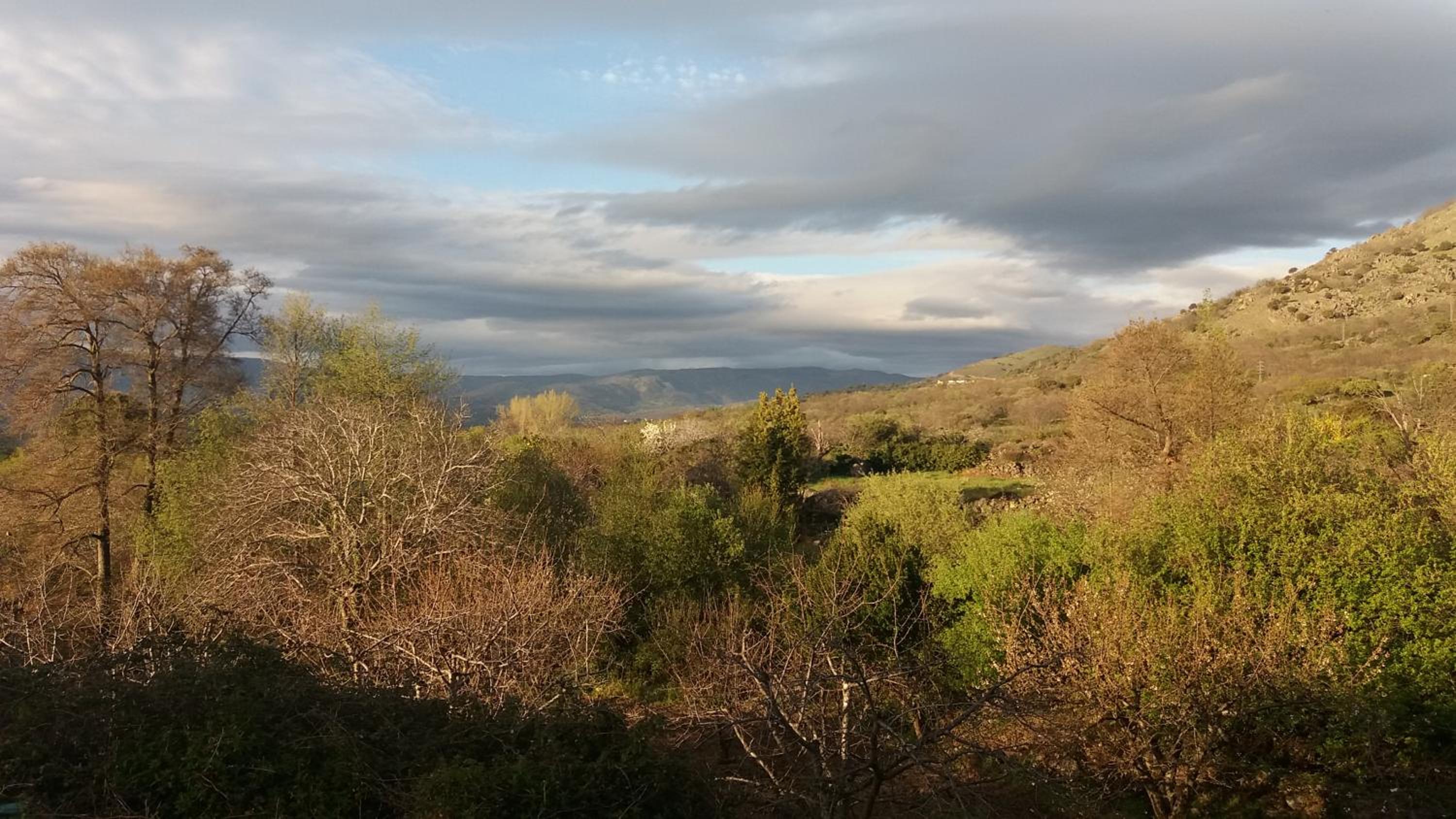 El Naranjo