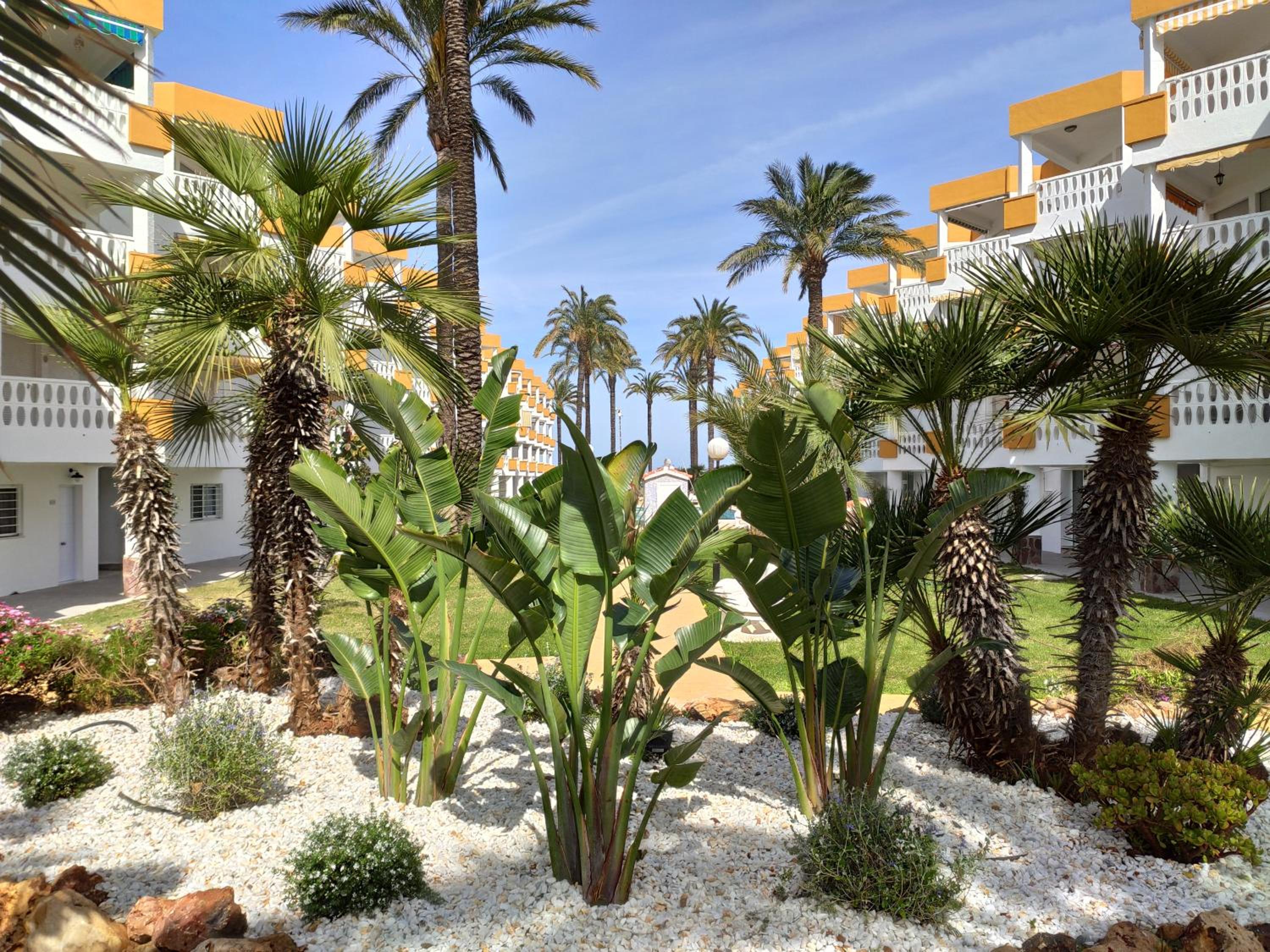 Apartamentos Óliver Playa