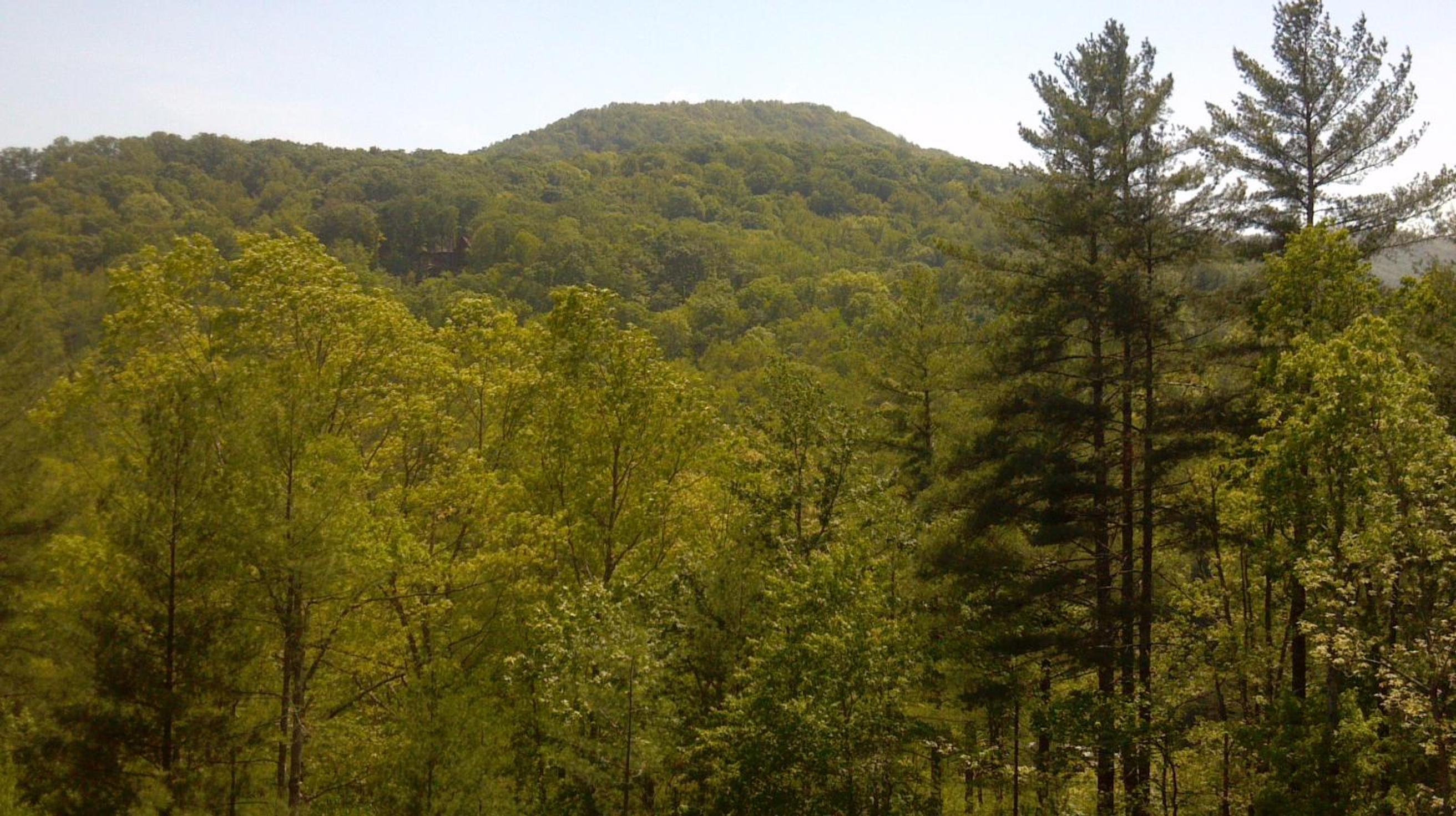 Cherokee Dream Mountain Lodge