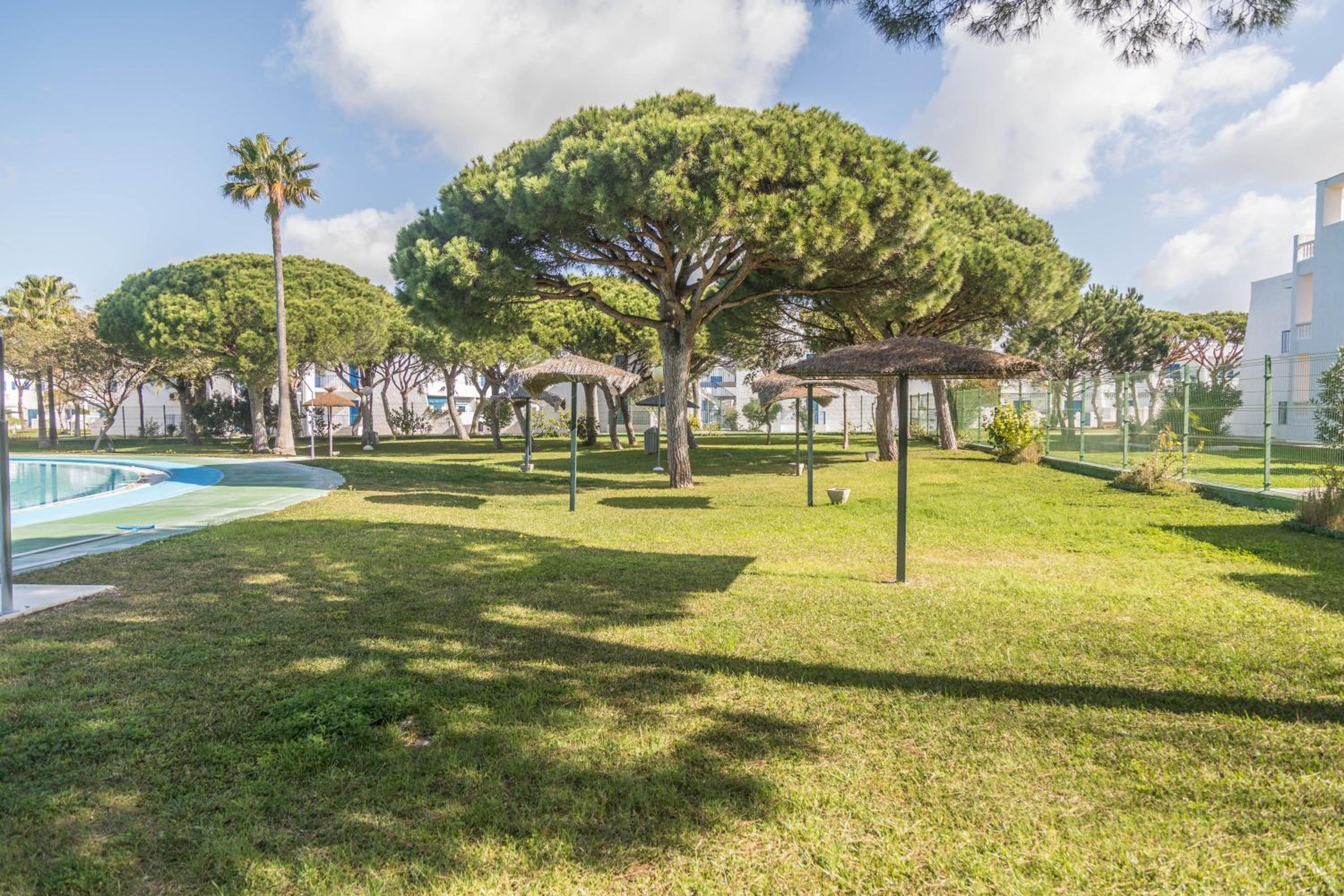 Apartamento Almadraba view 4