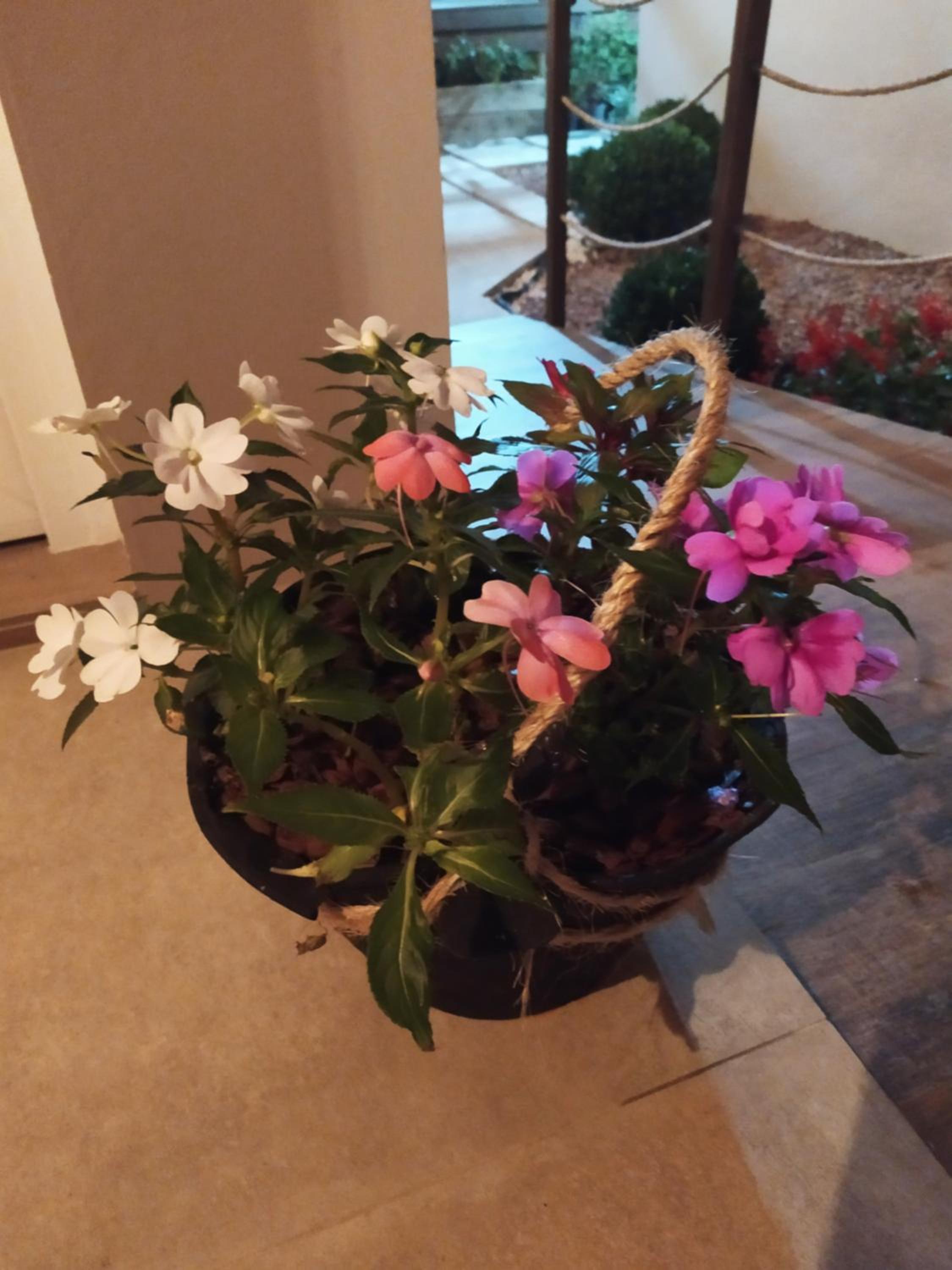 Photo 23