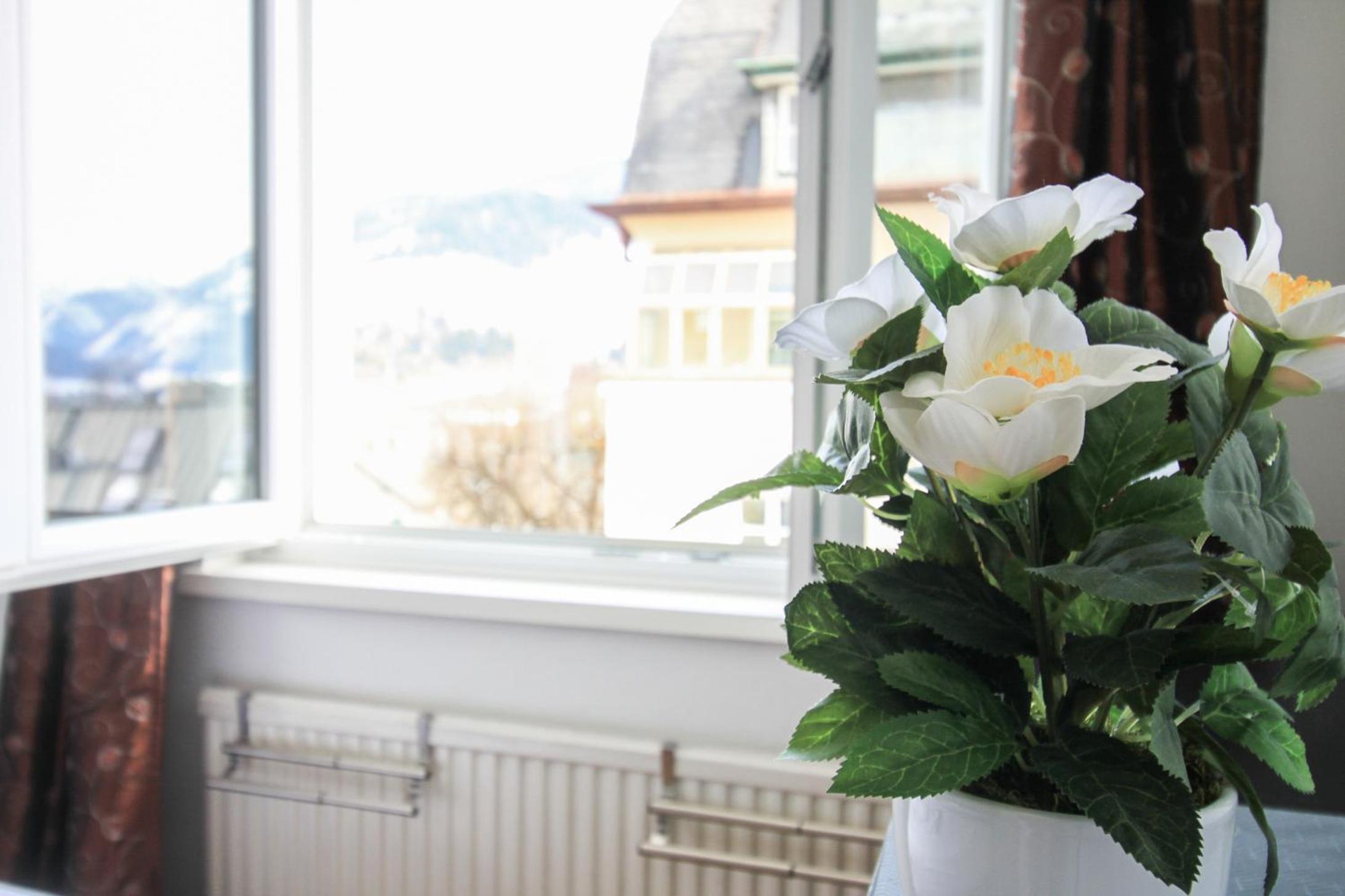 Photo 34