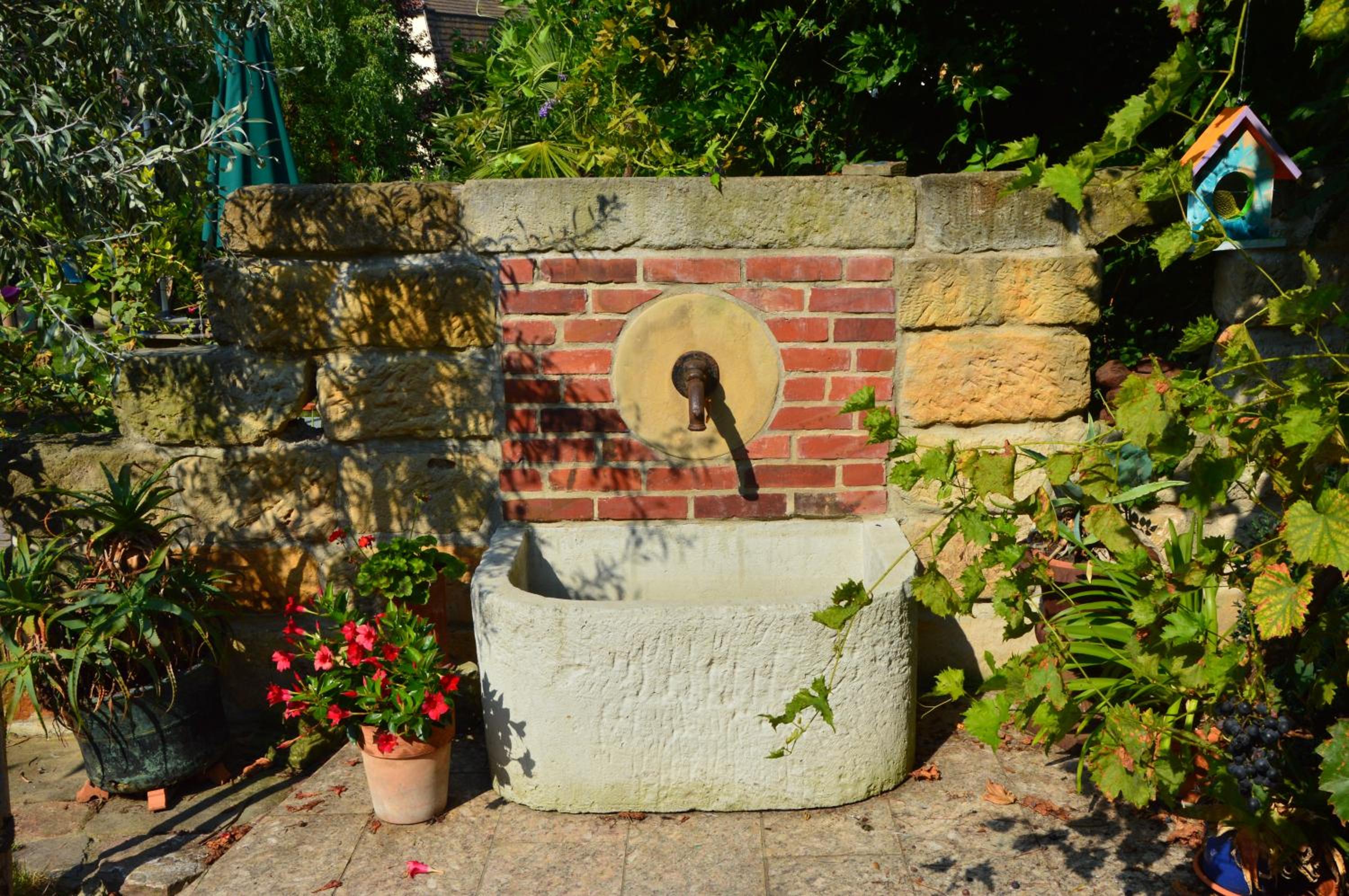 Photo 15