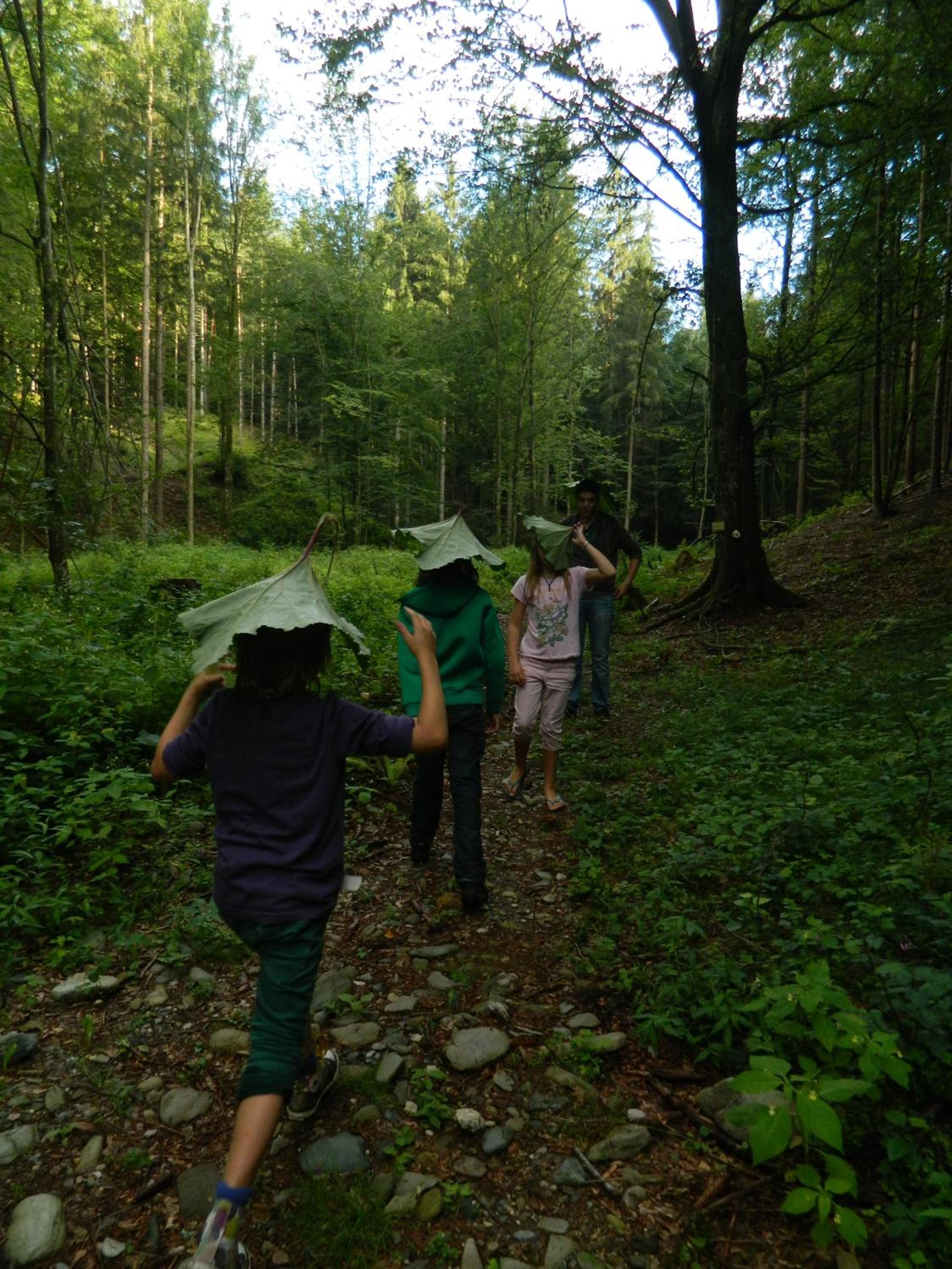 Photo 15