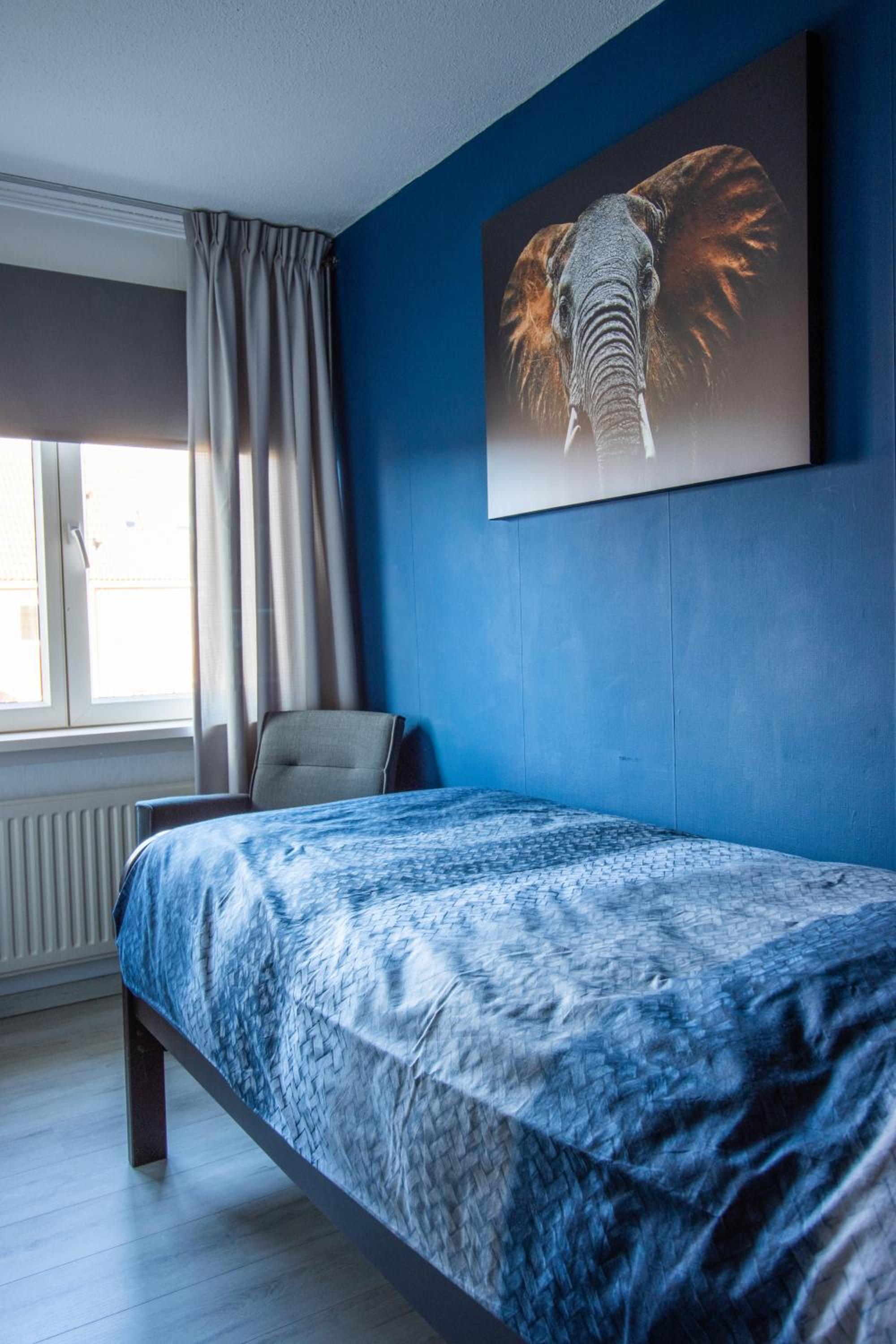 Photo 12