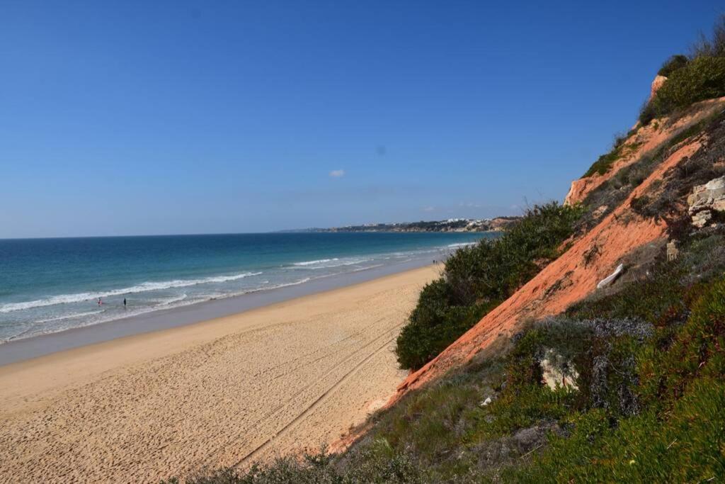 Buganvília Apartment Praia da Falésia photo 4