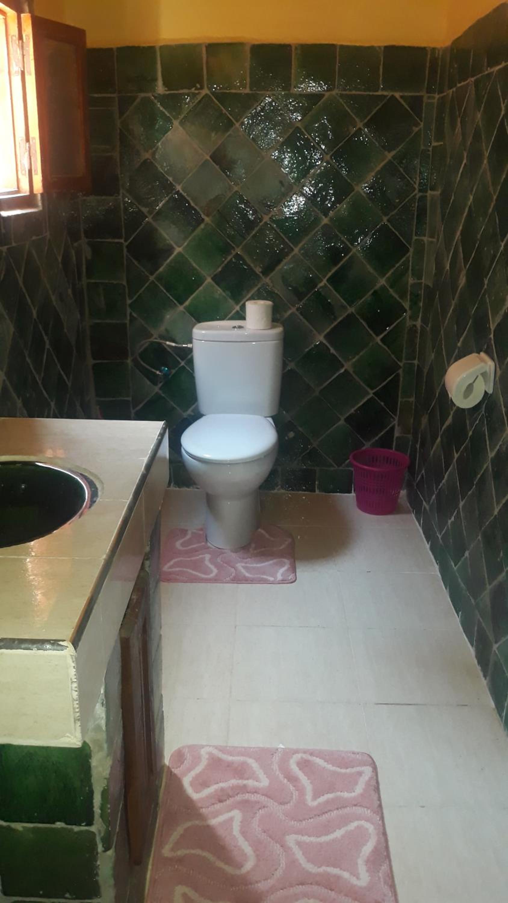 Mhamid Auberge Saharaespace view 2