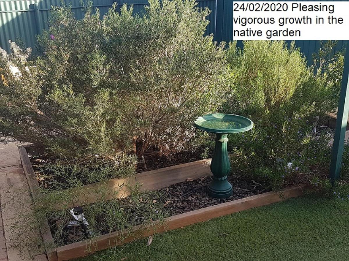Flinders Ranges Bed and Breakfast