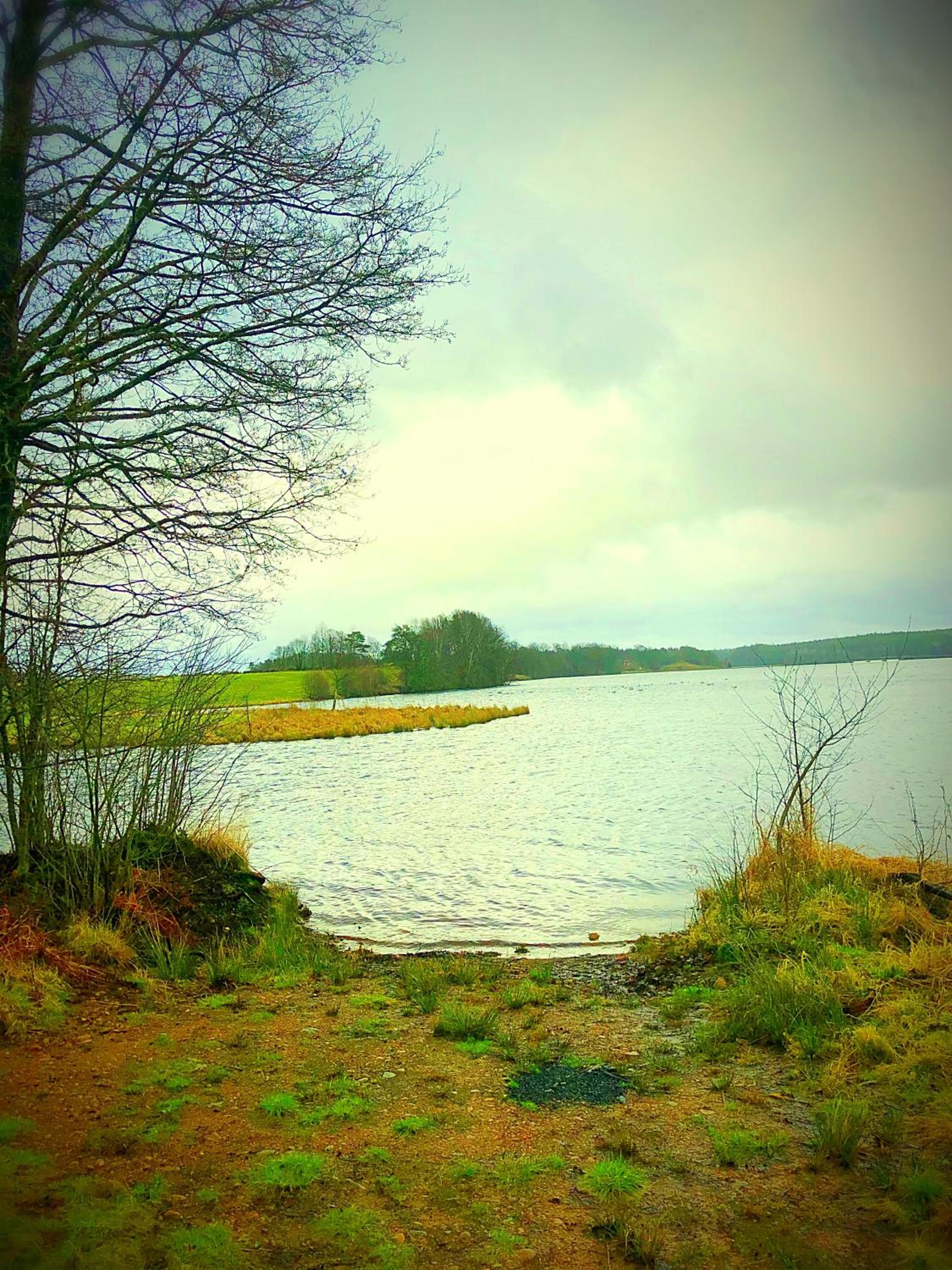 Photo 43