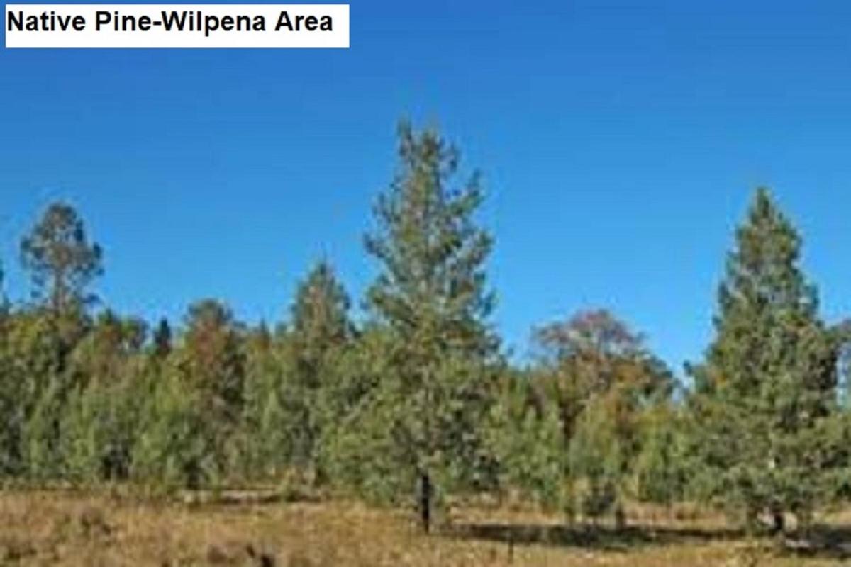Flinders Ranges Bed and Breakfast