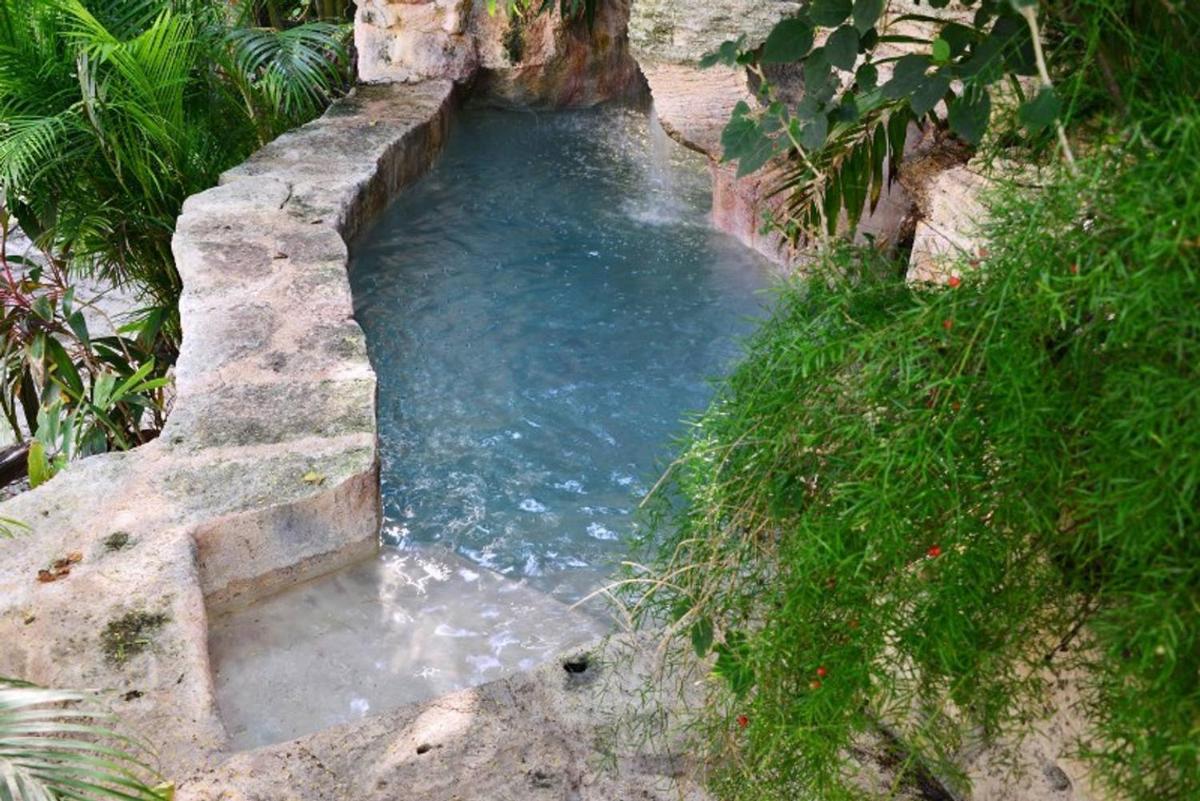Unique Mexican Villa! Plunge Pool, Ocean Views view 5