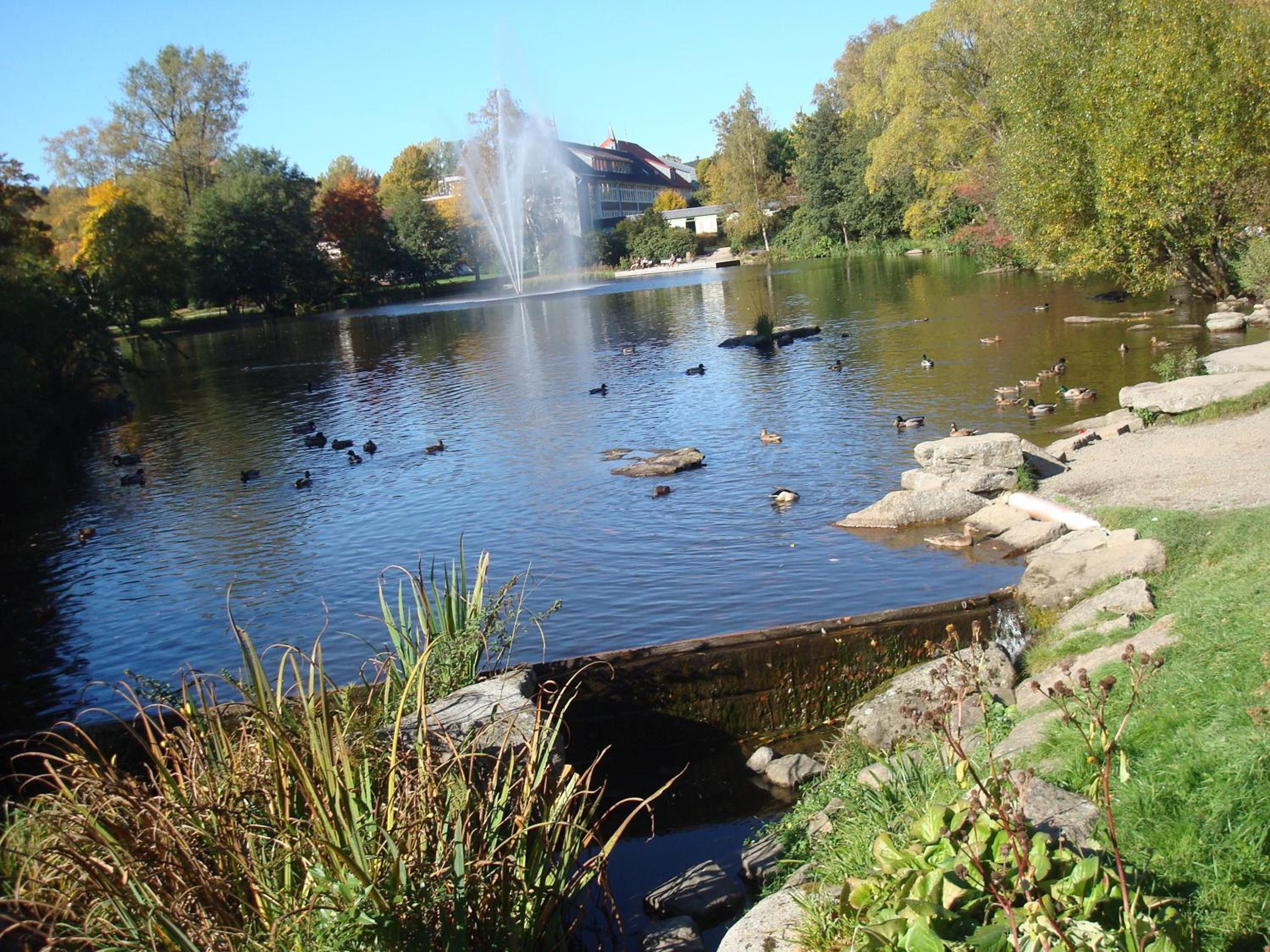 Photo 8