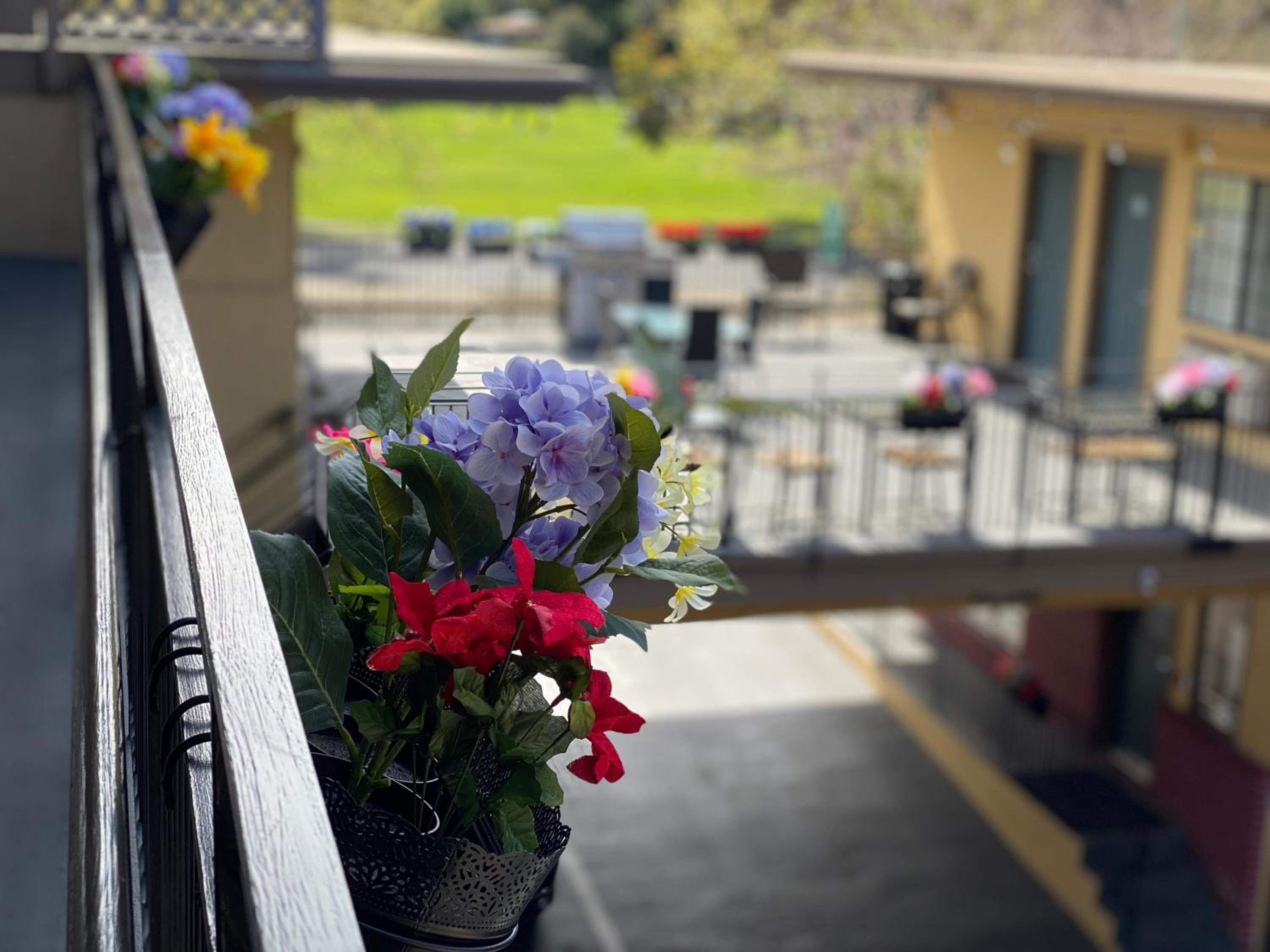 Westwind Lodge view 5