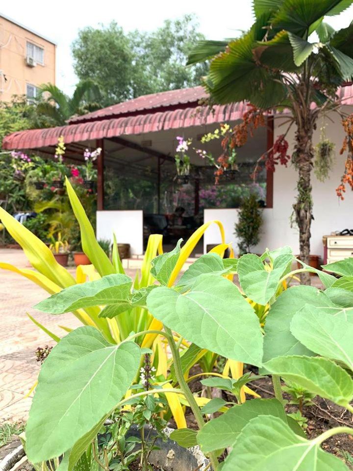 Reaksmey Meanrith Guesthouse and Residence