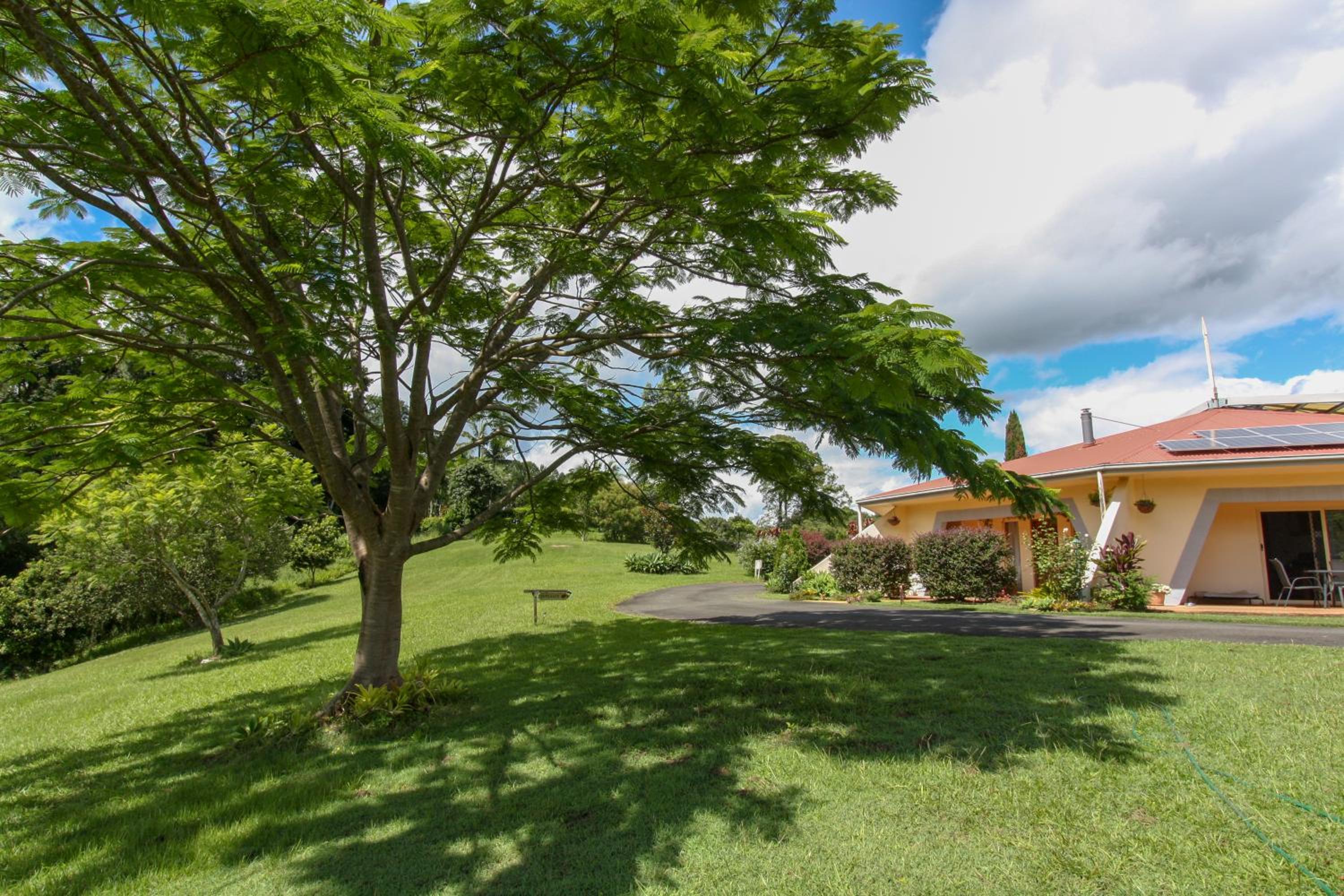 A view of Mount Warning