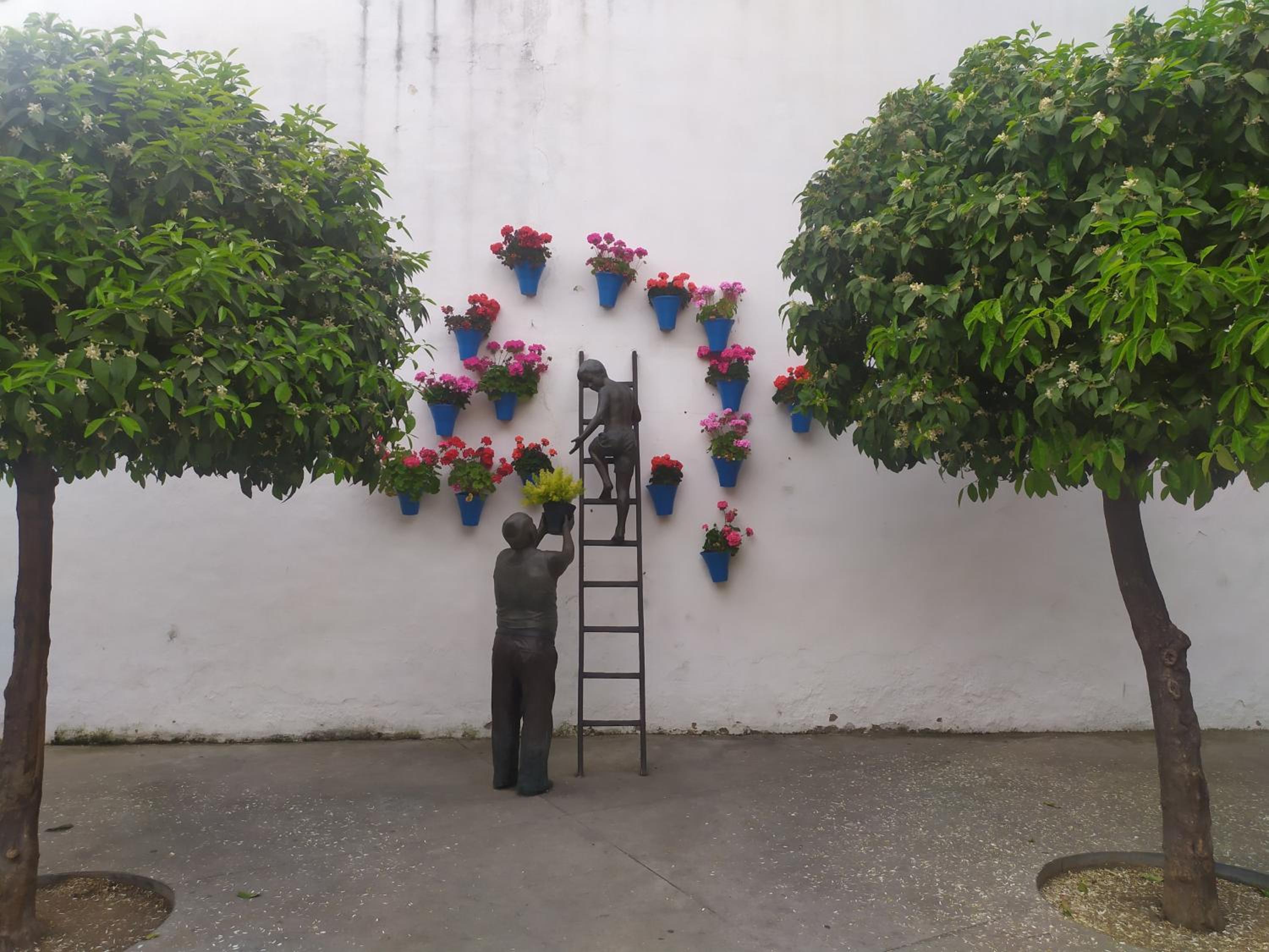 Los Patios de Cordoba view 5