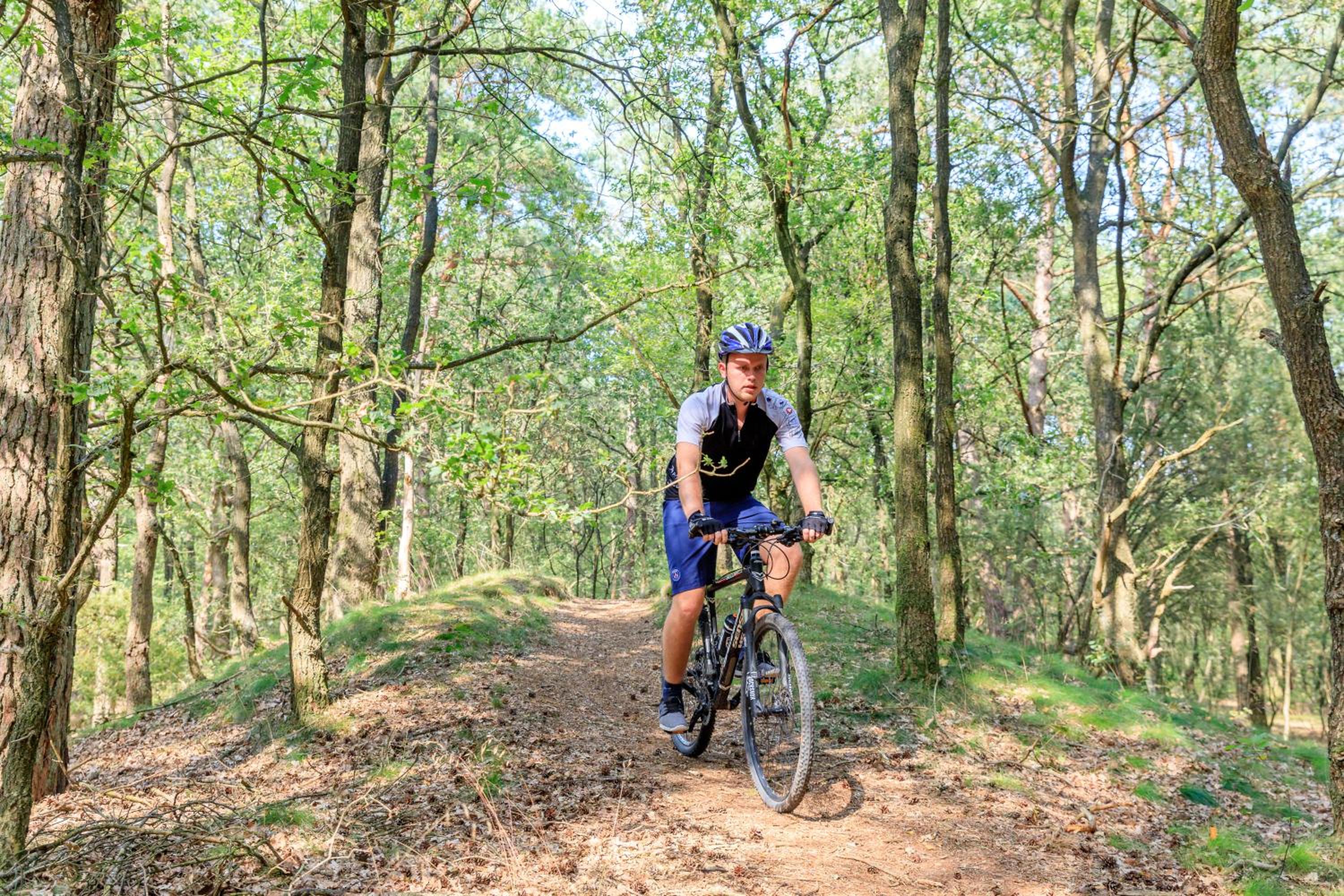 RCN Vakantiepark de Noordster