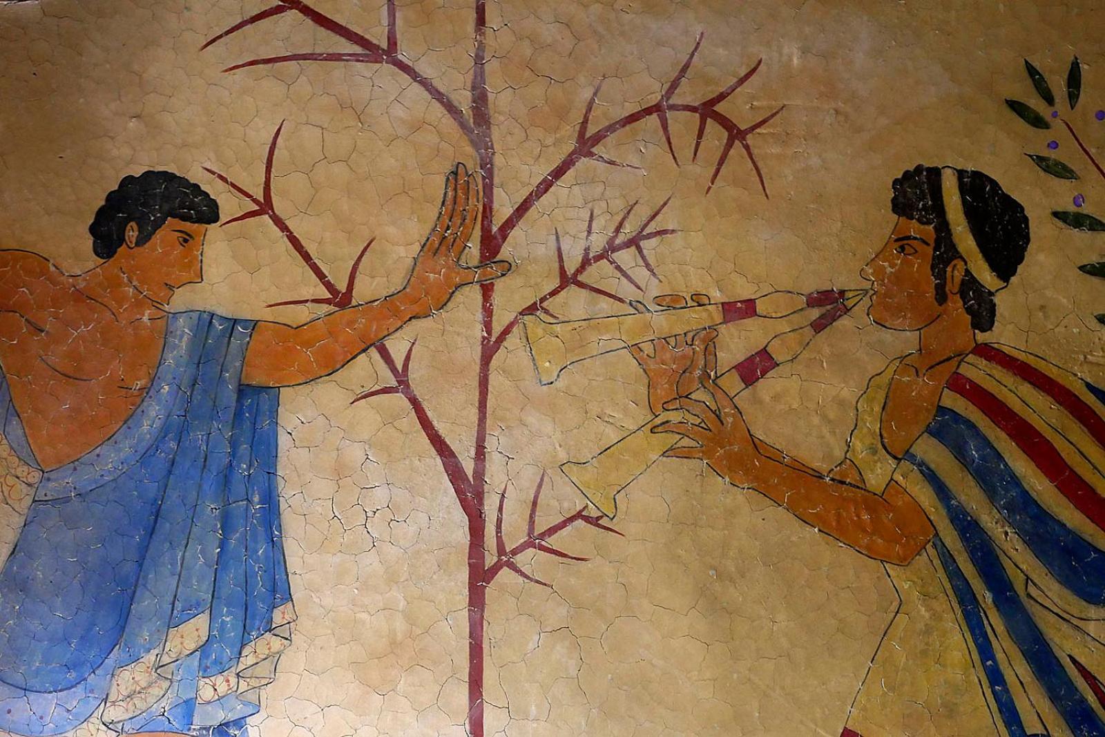 La Cerreta - Terme di Sassetta