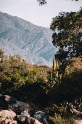 La Ceiba