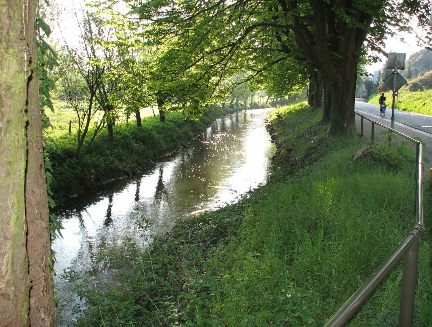 Photo 35
