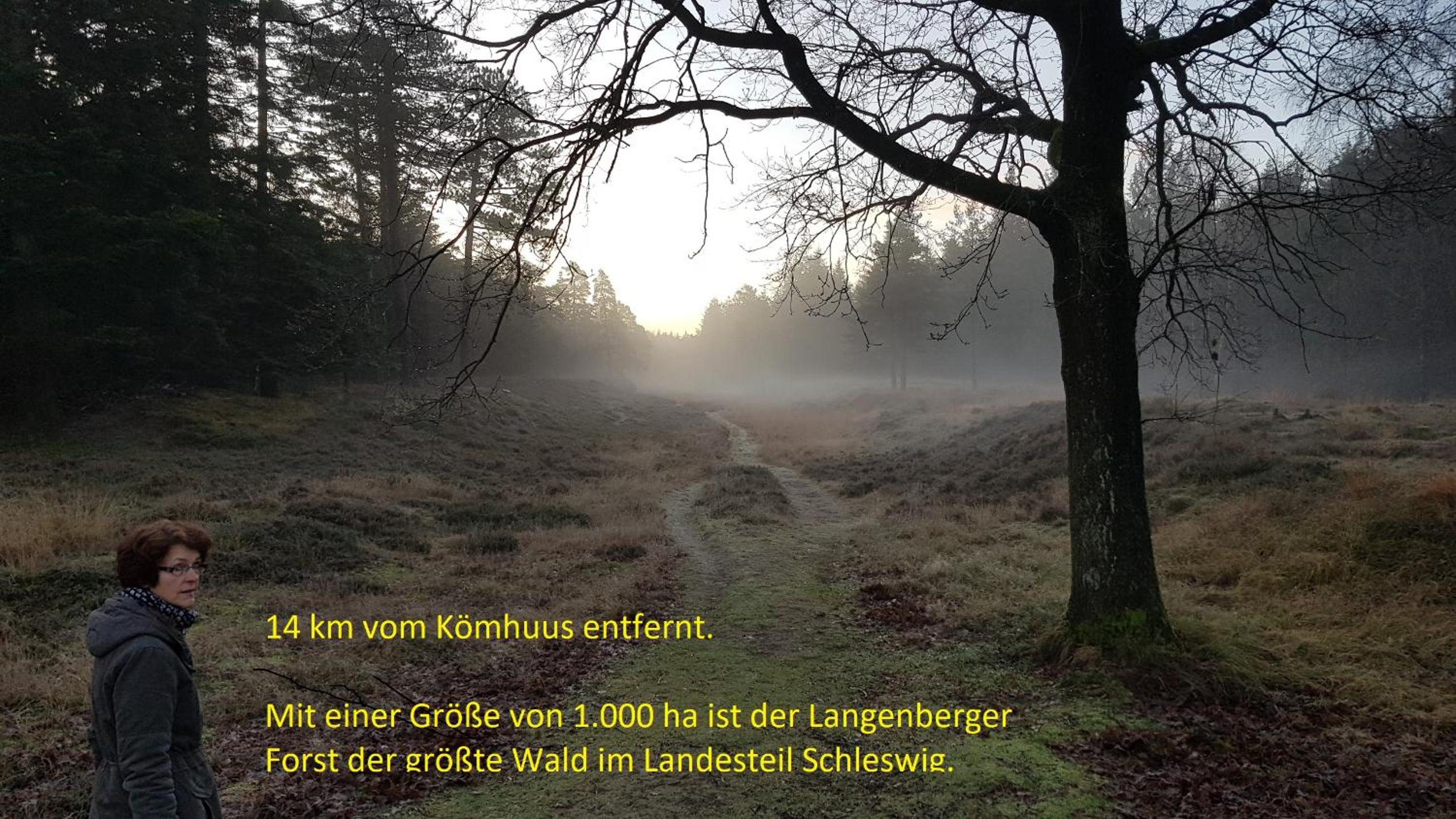 Ferienhaus Kömhuus