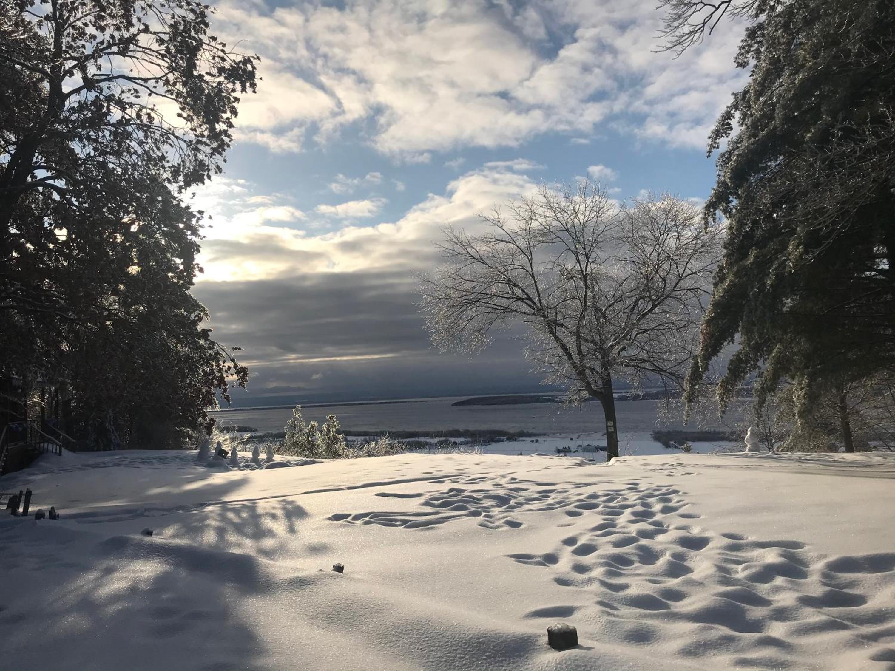Photo 24