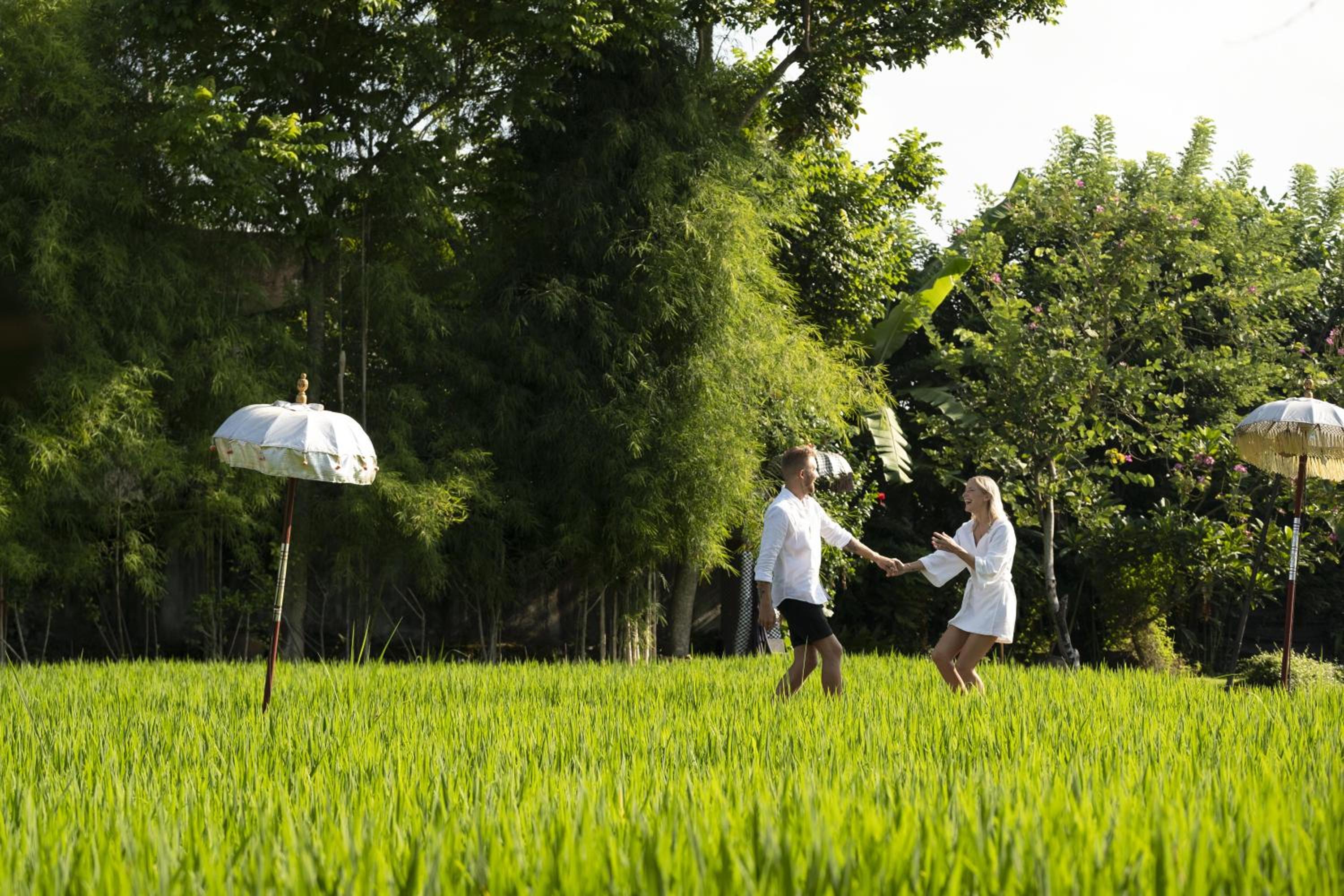 Alaya Resort Ubud