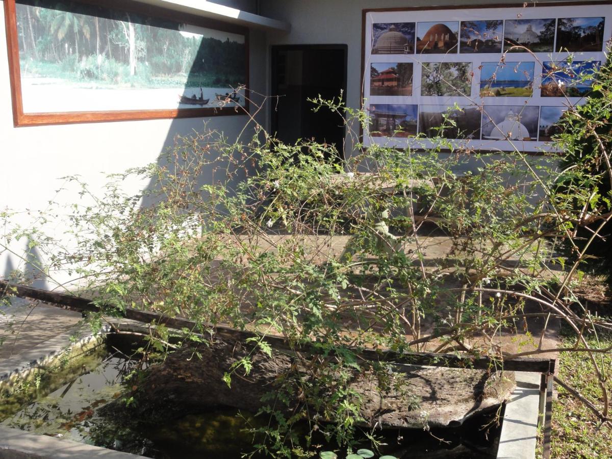 Photo 41