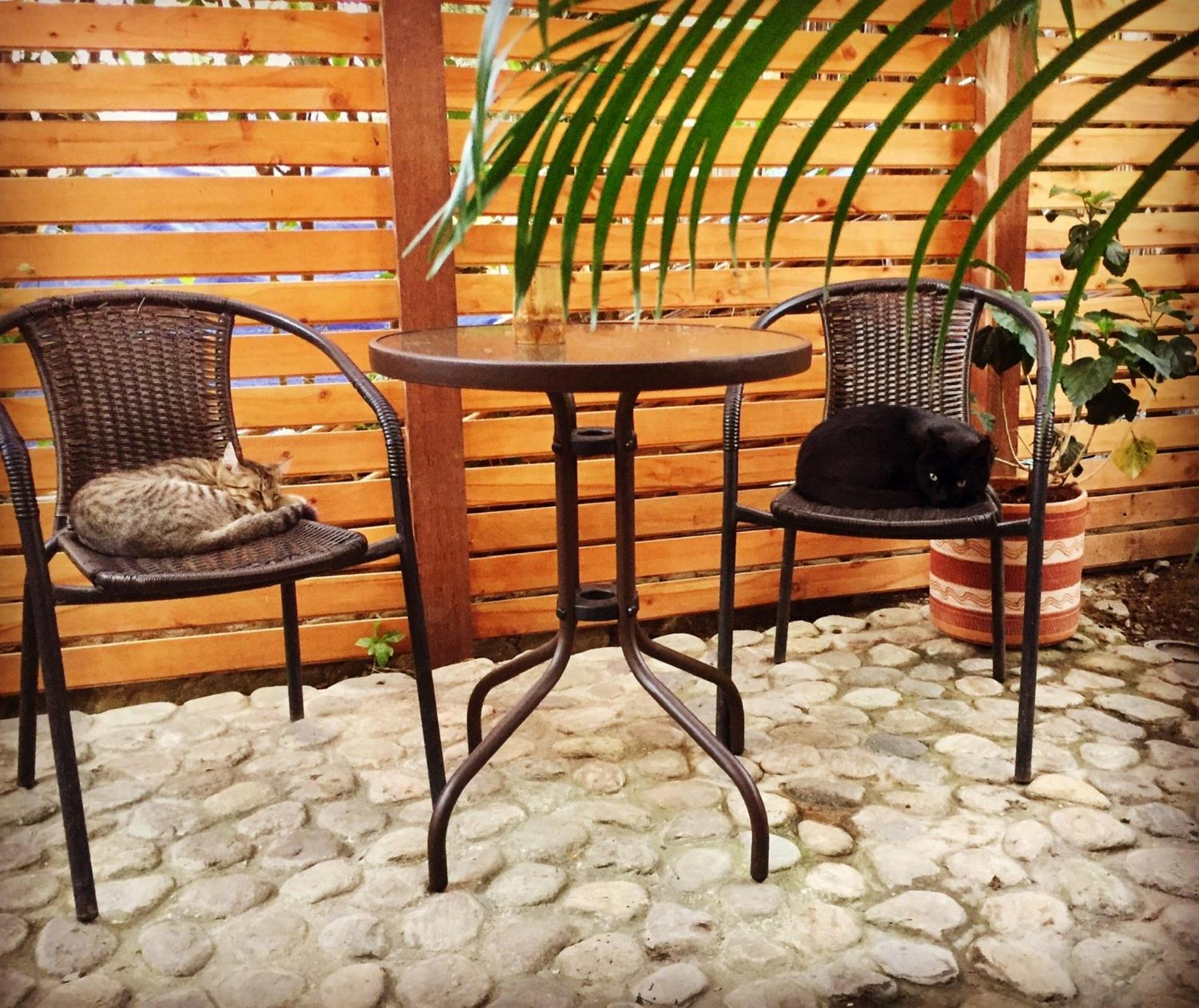 Casa Juntos by Villa Eden