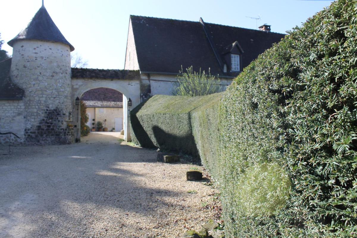 Photo 8