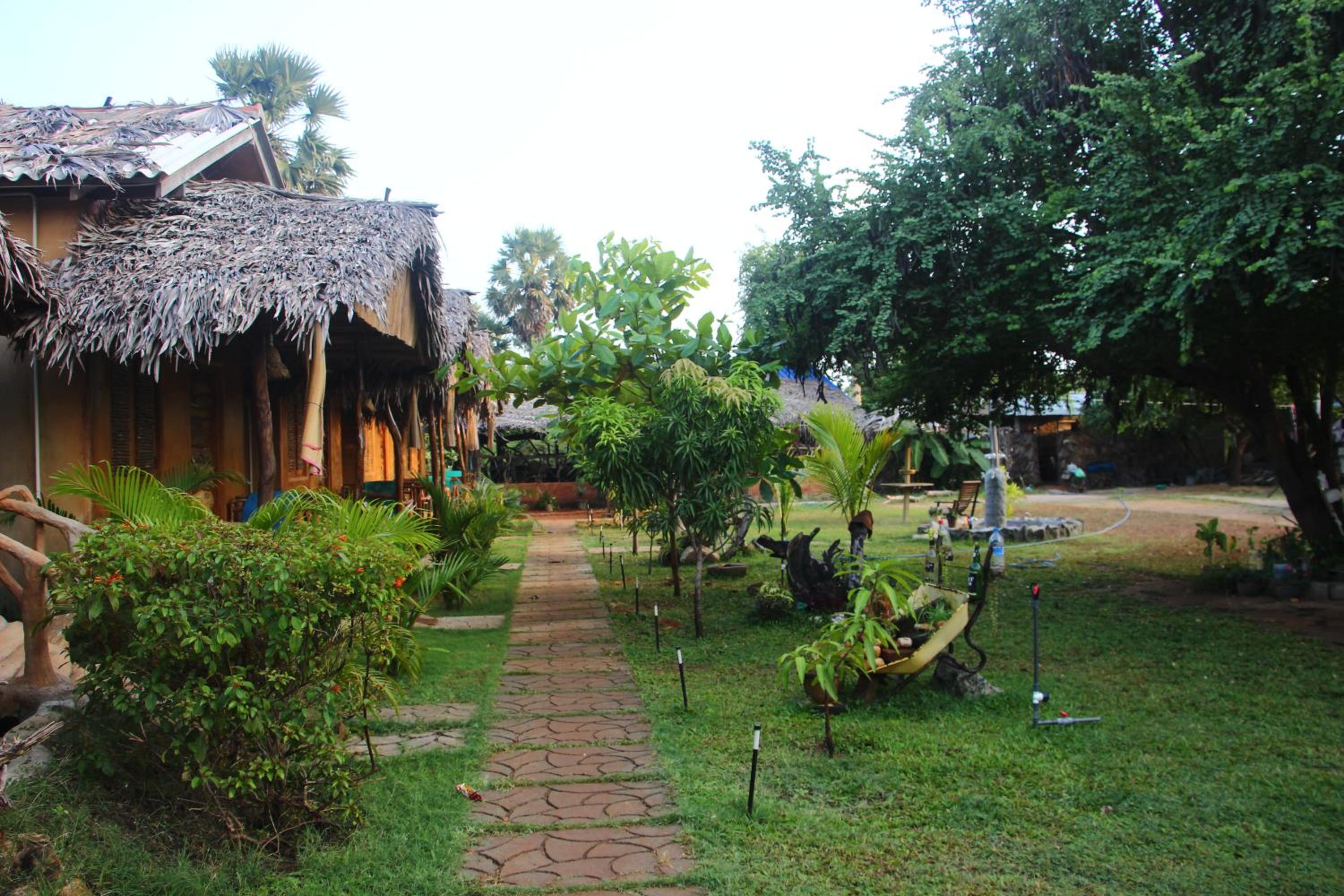 Photo 7