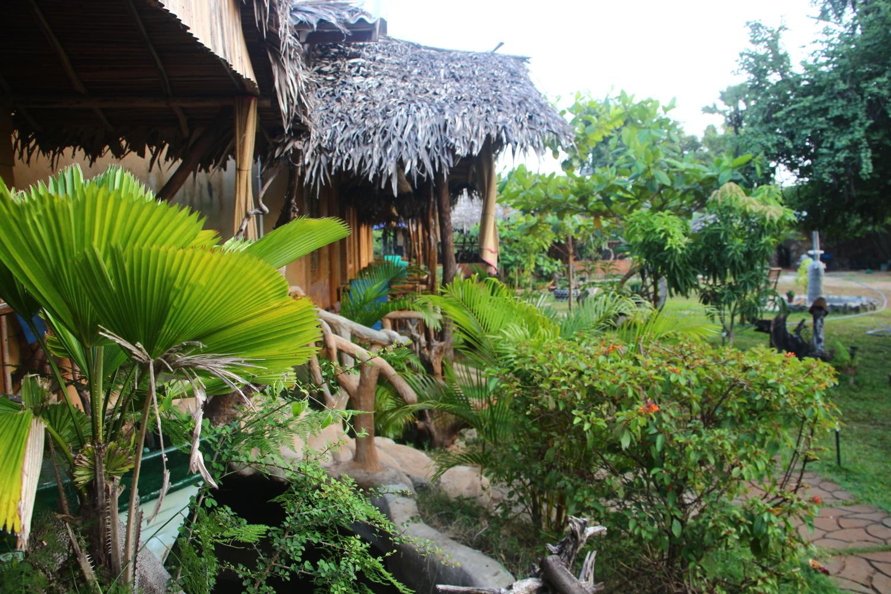 Photo 6