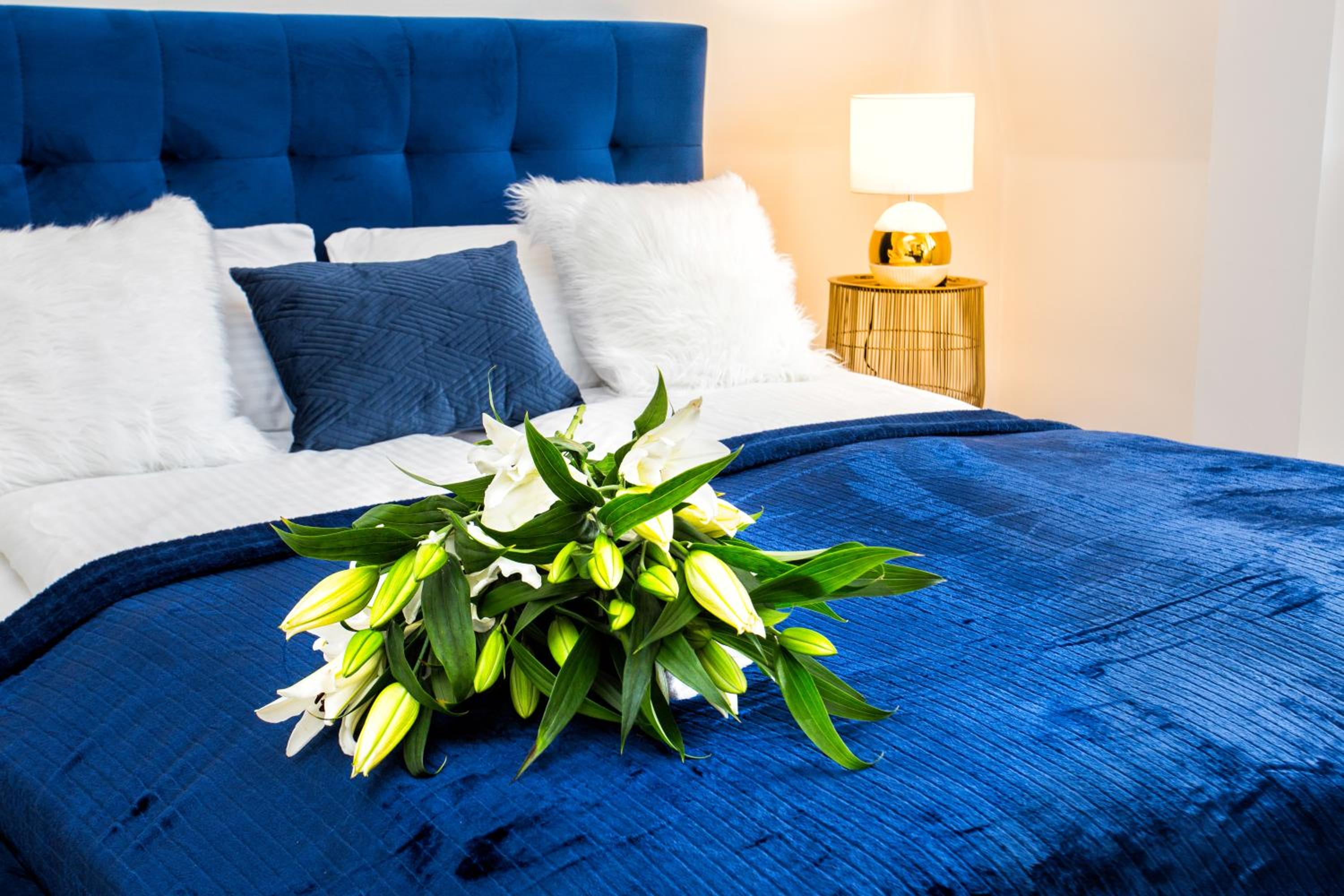 Apartament BIANCO BLU pod Jasną Górą., photo 11