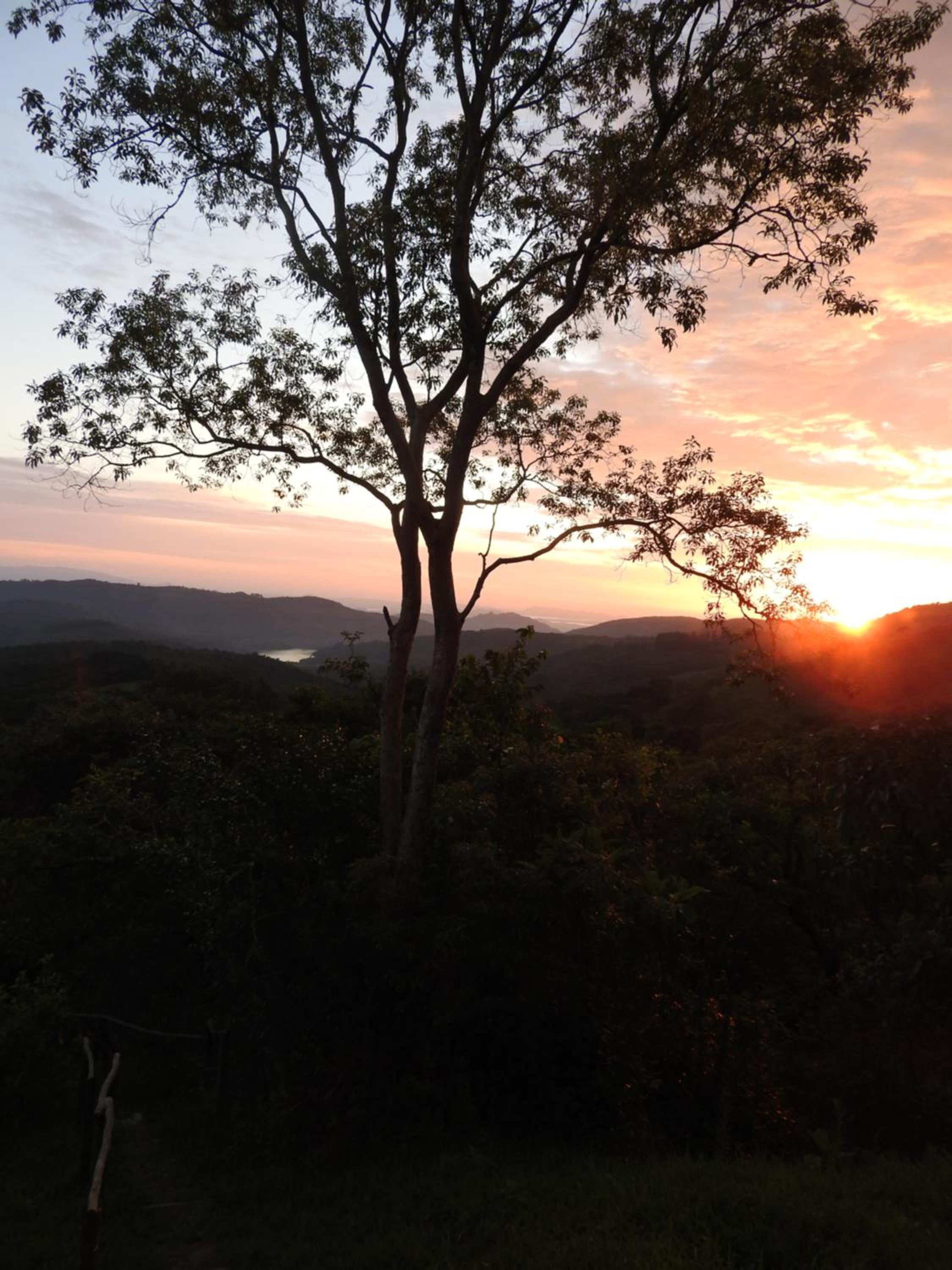 Madrugada
