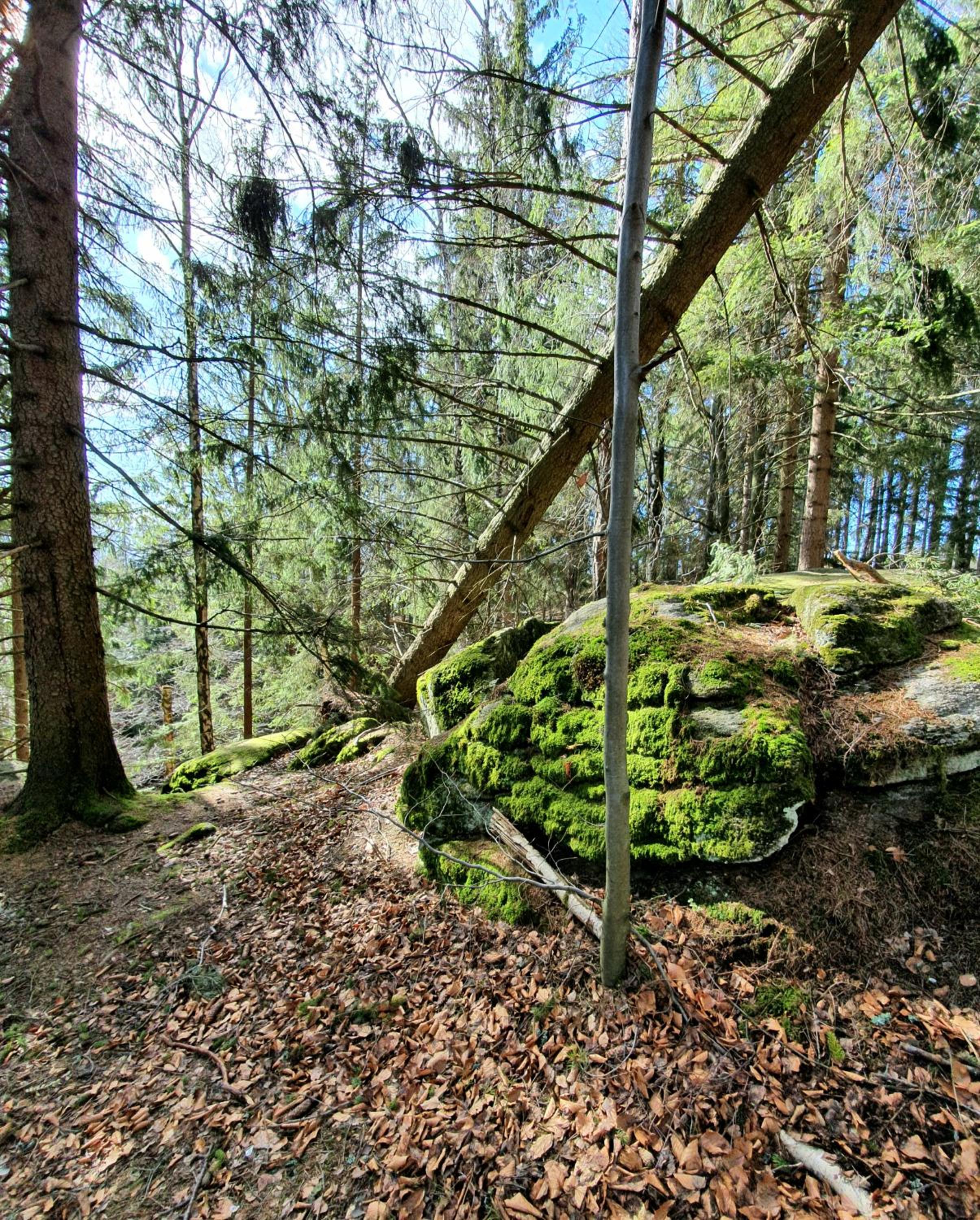 Photo 40