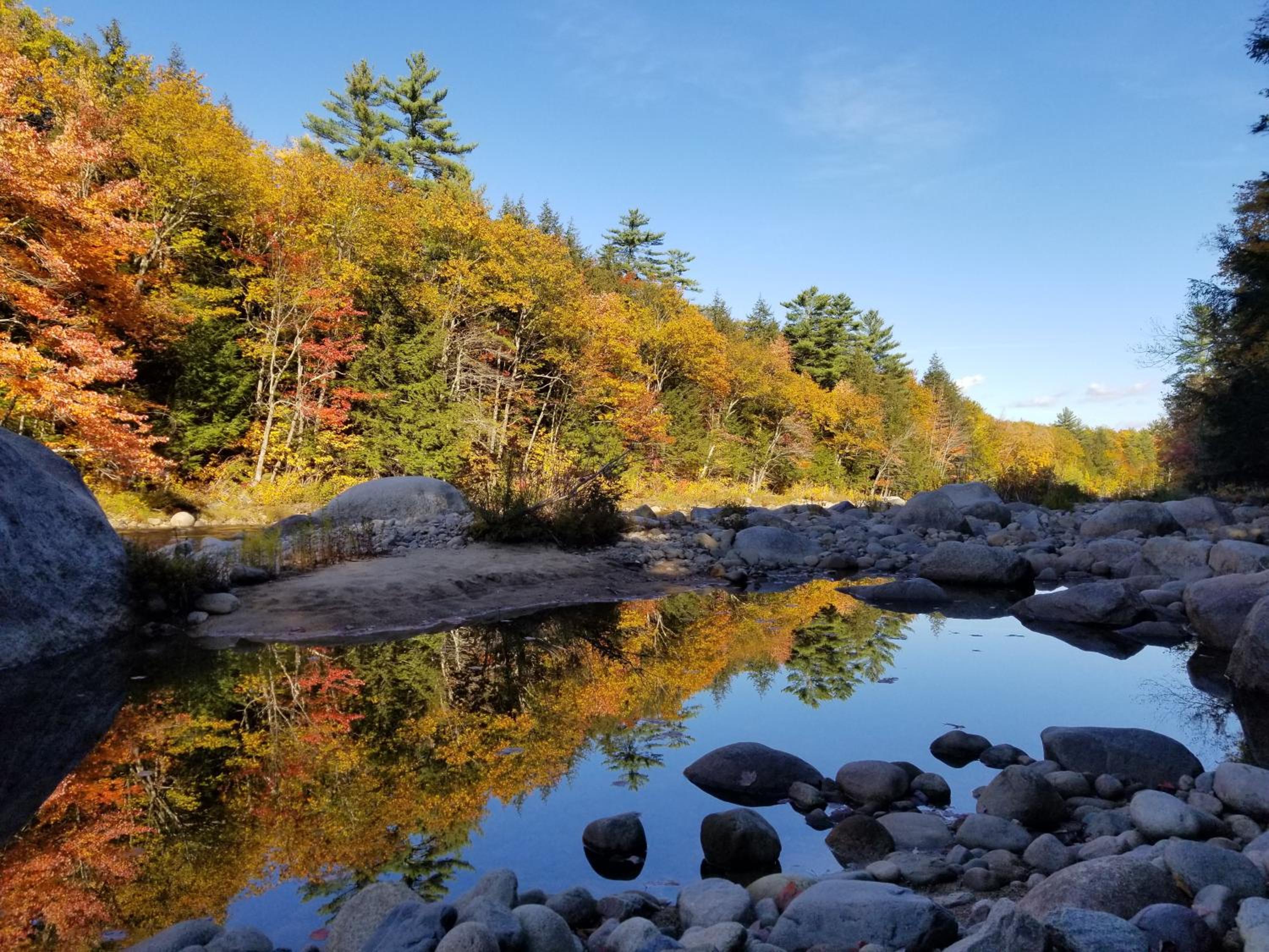 Kancamagus Swift River Inn view 3