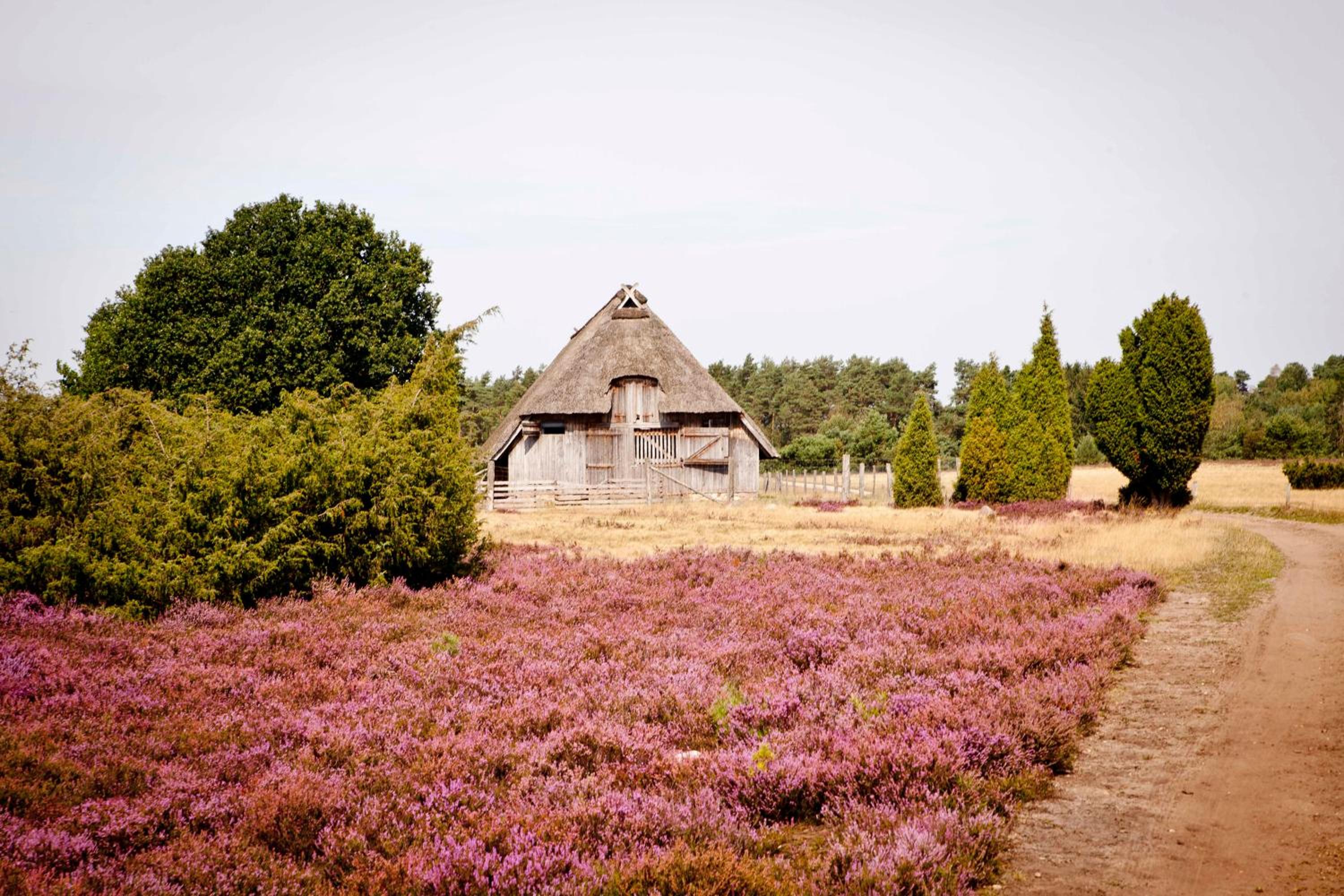 Lütte Pension