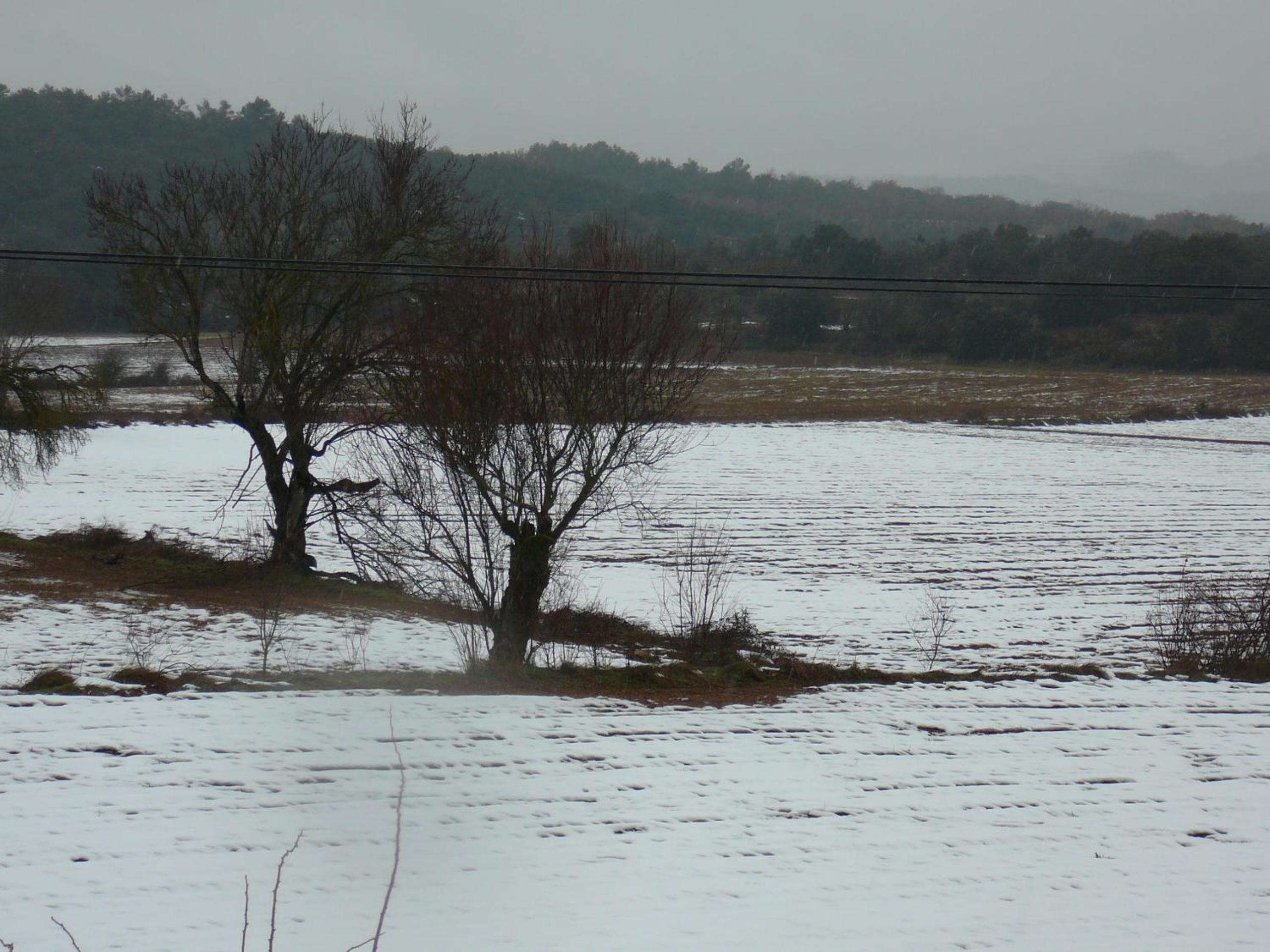 Photo 45