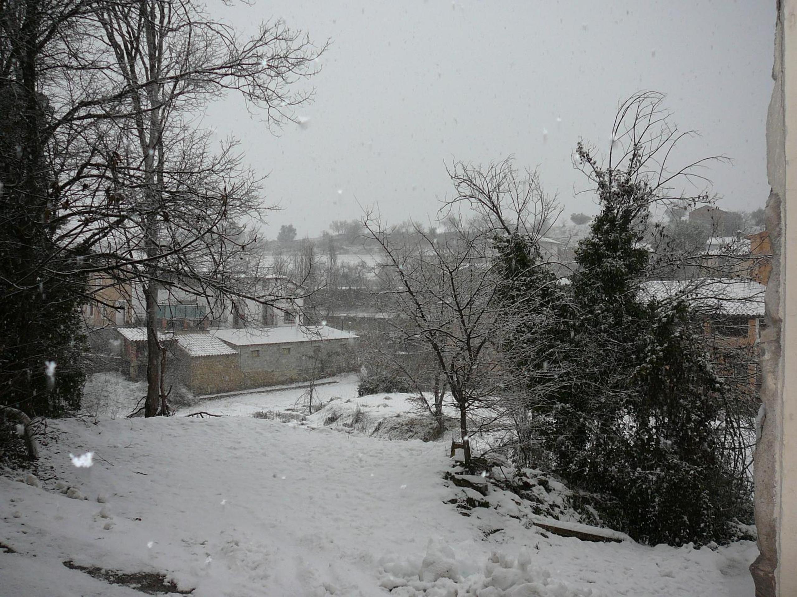 Photo 46