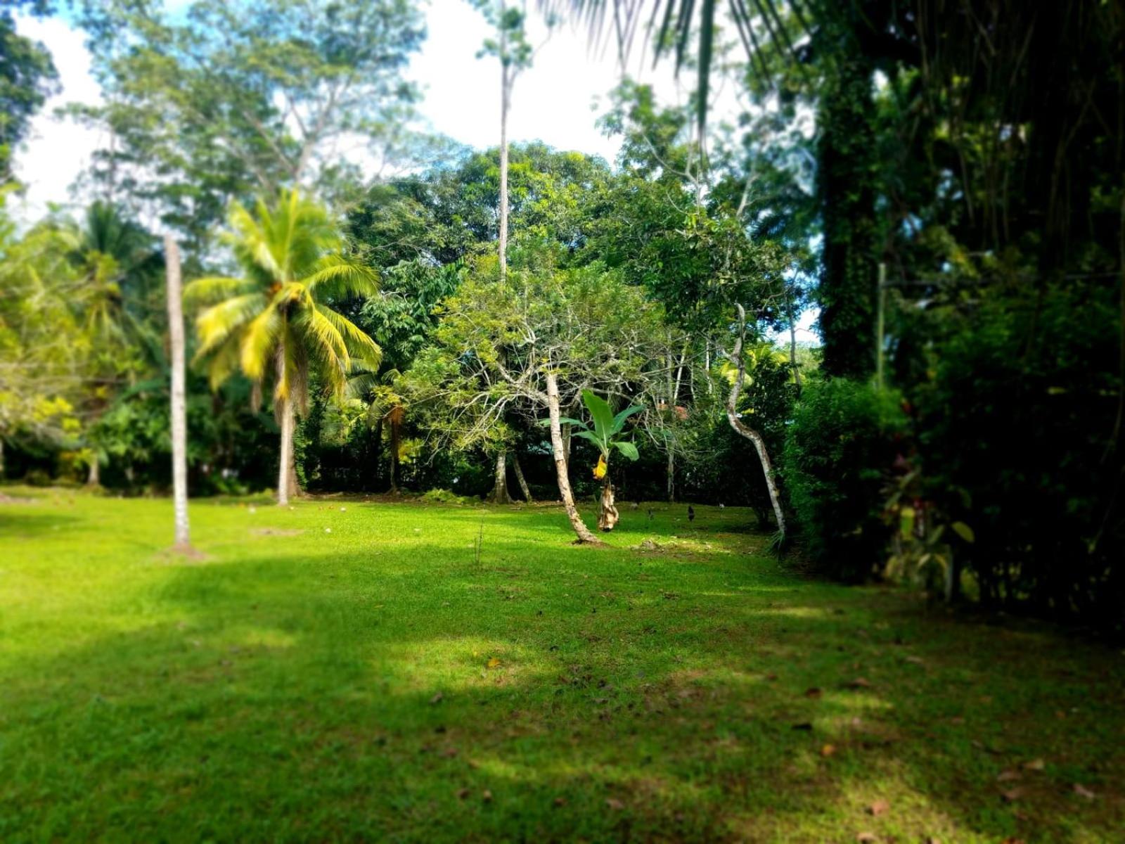Casita Amarilla