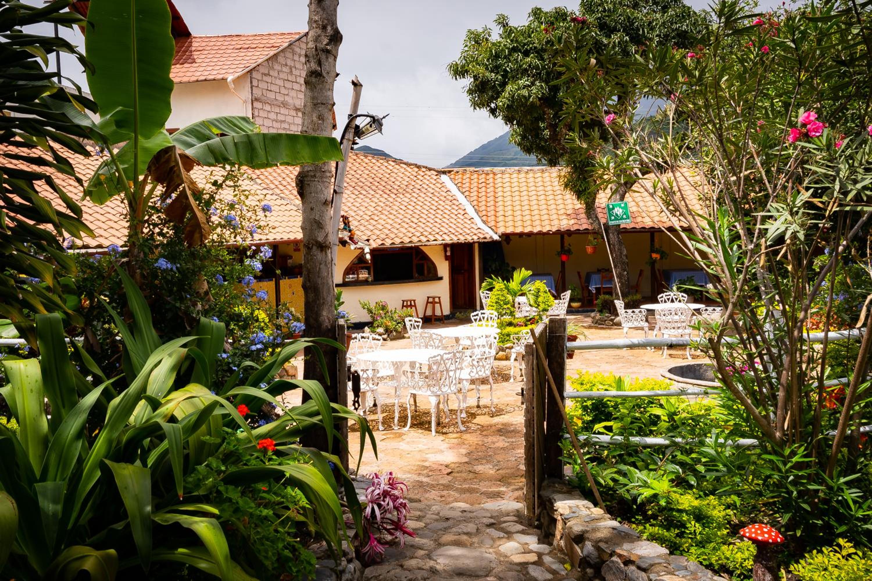 Hostal Jardín Escondido view 5